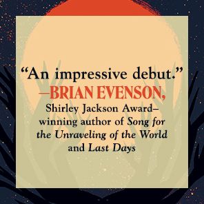 Observer: A Novel