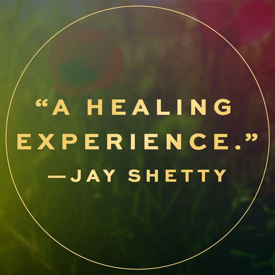 The Signs: The New Science of How to Trust Your Instincts