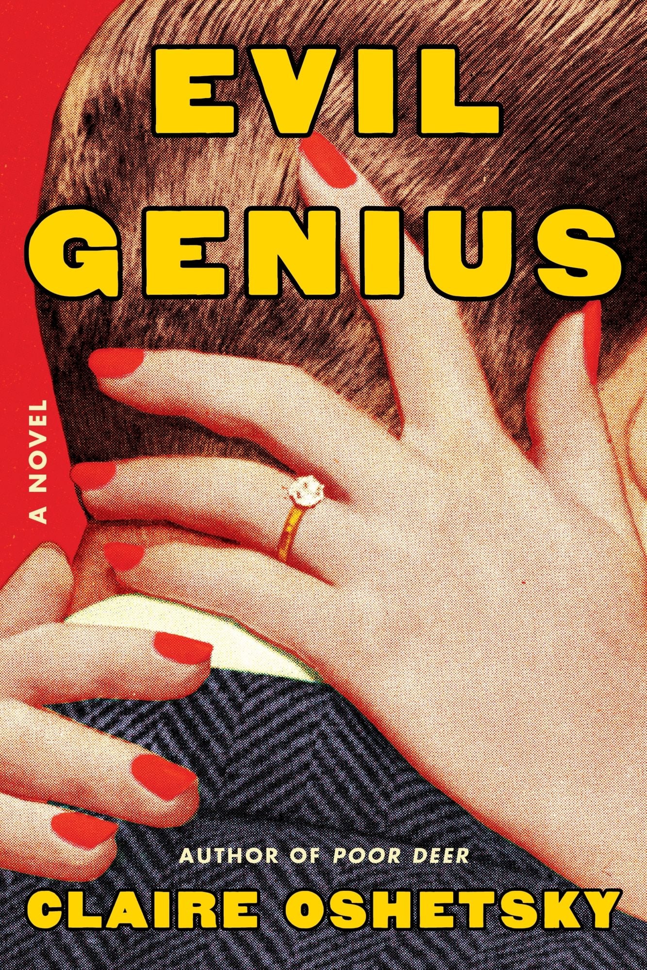 Evil Genius: A Novel