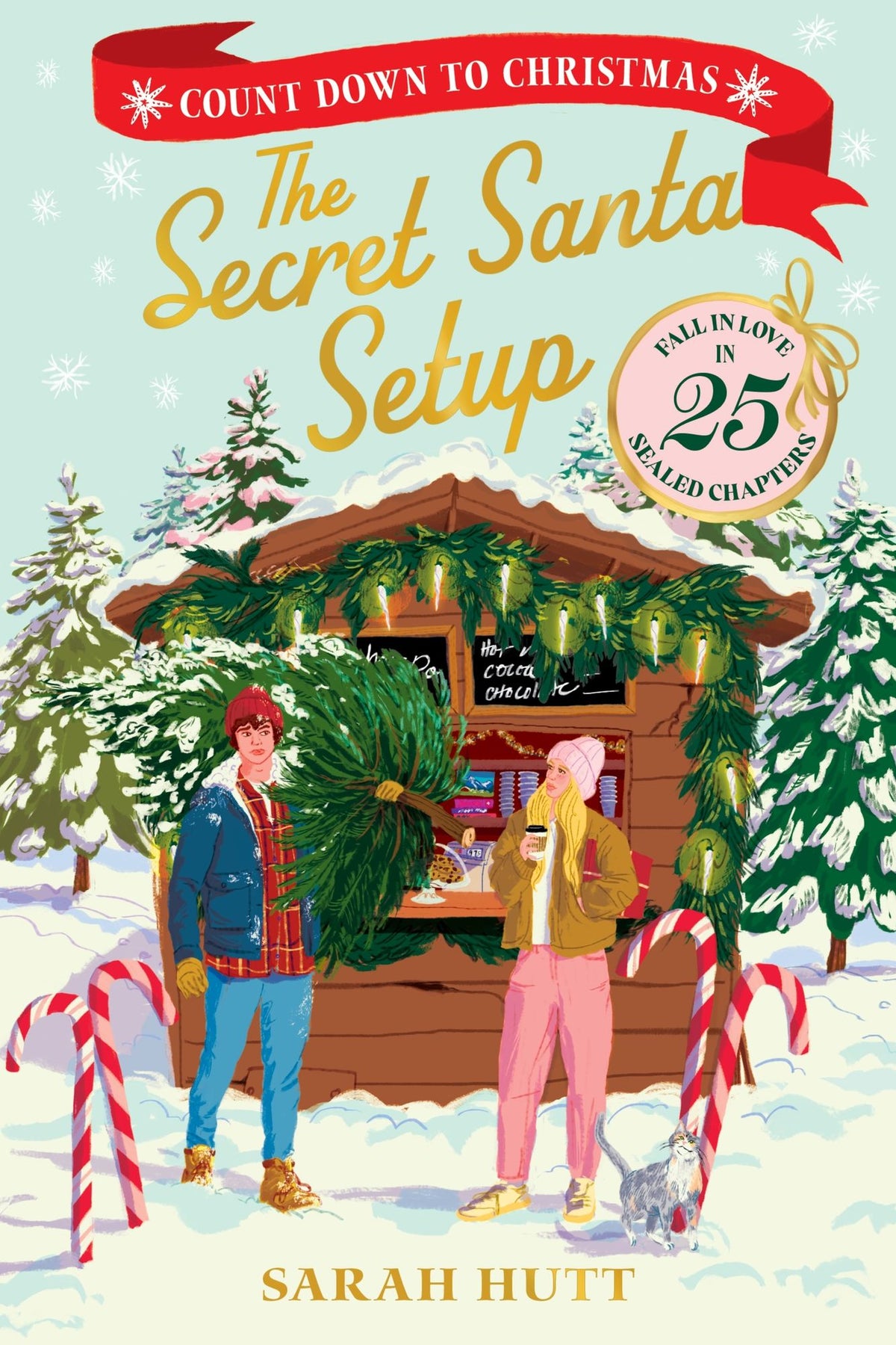 The Secret Santa Setup: Count Down to Christmas with 25 Sealed Chapters