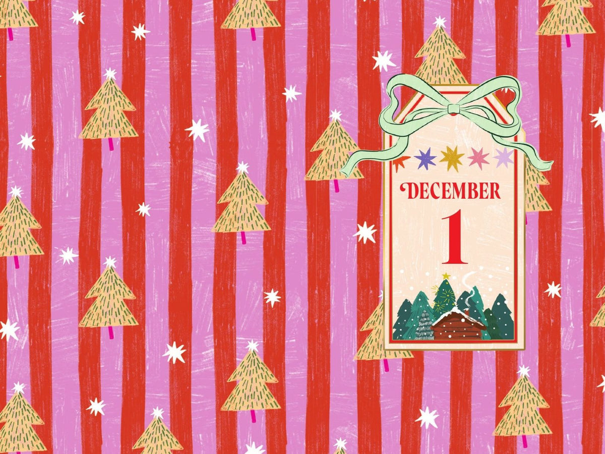 The Secret Santa Setup: Count Down to Christmas with 25 Sealed Chapters