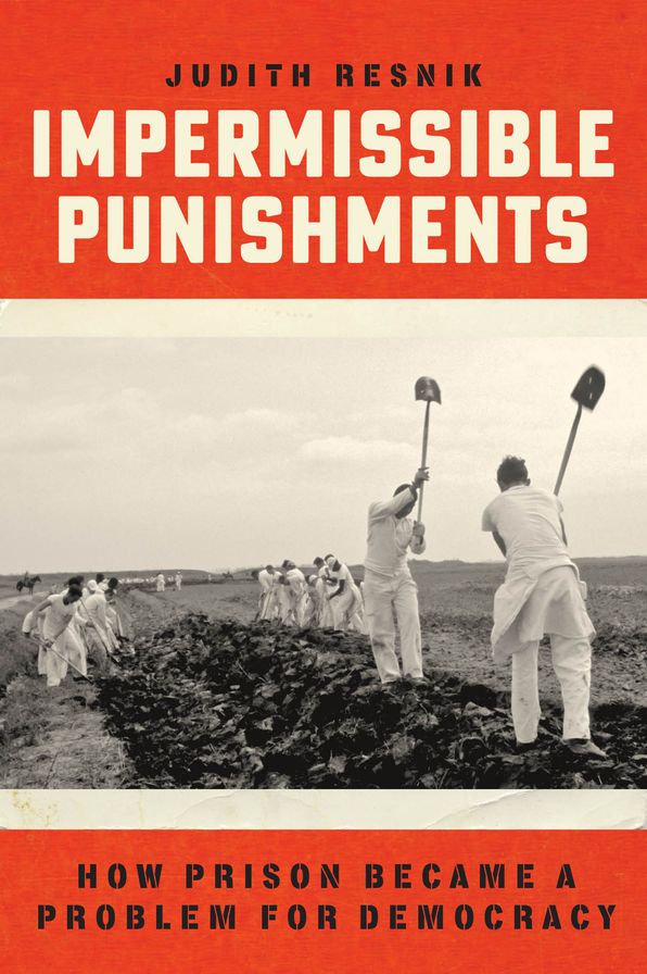 Impermissible Punishments: How Prison Became a Problem for Democracy