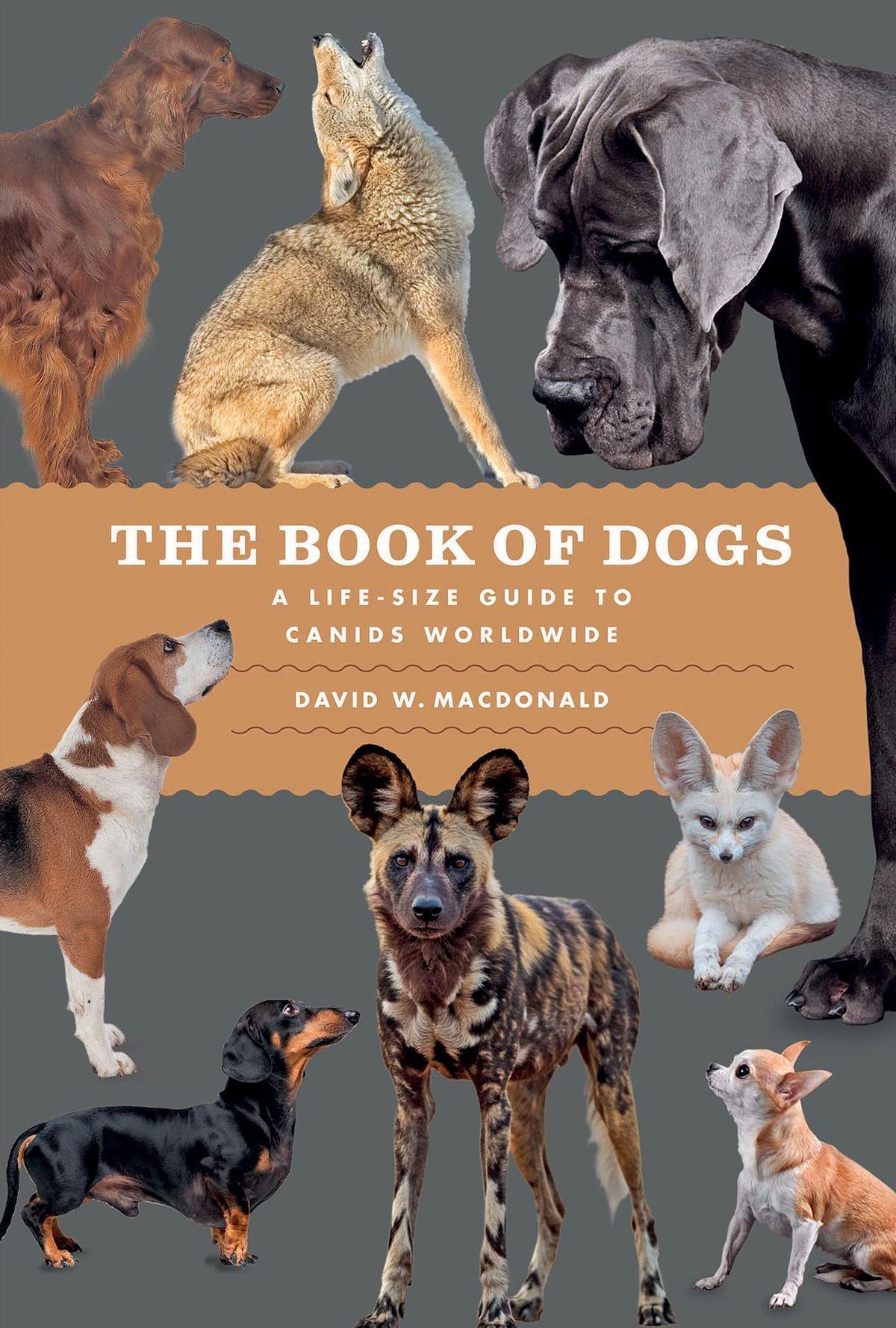 The Book of Dogs: A Life-Size Guide to Canids Worldwide