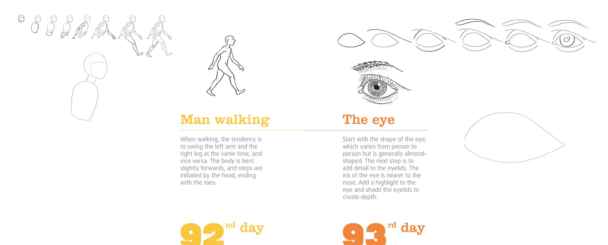 365 Days of Drawing