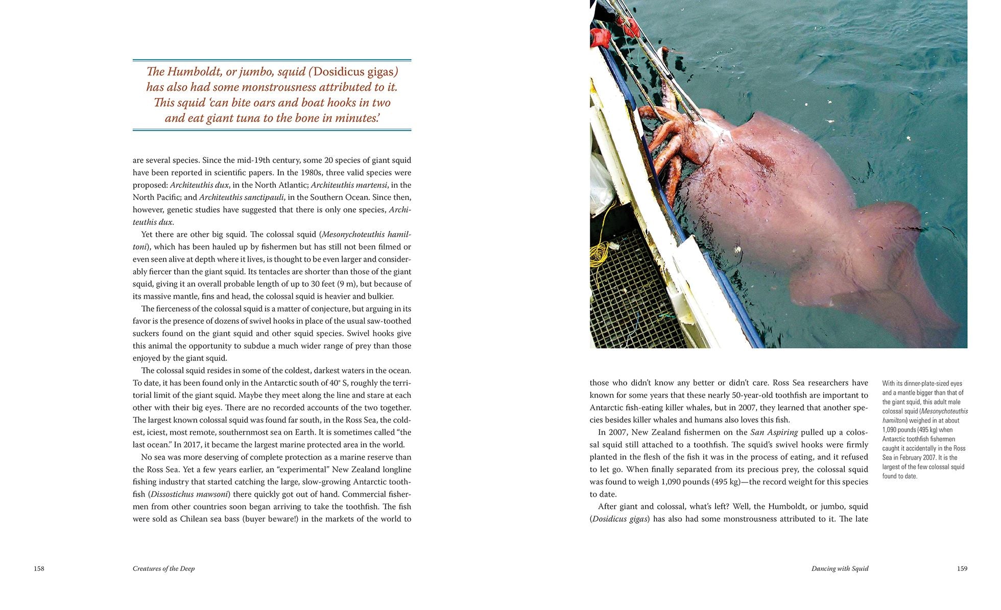 Creatures of the Deep: In Search of the Sea's Monsters and the World They Live In