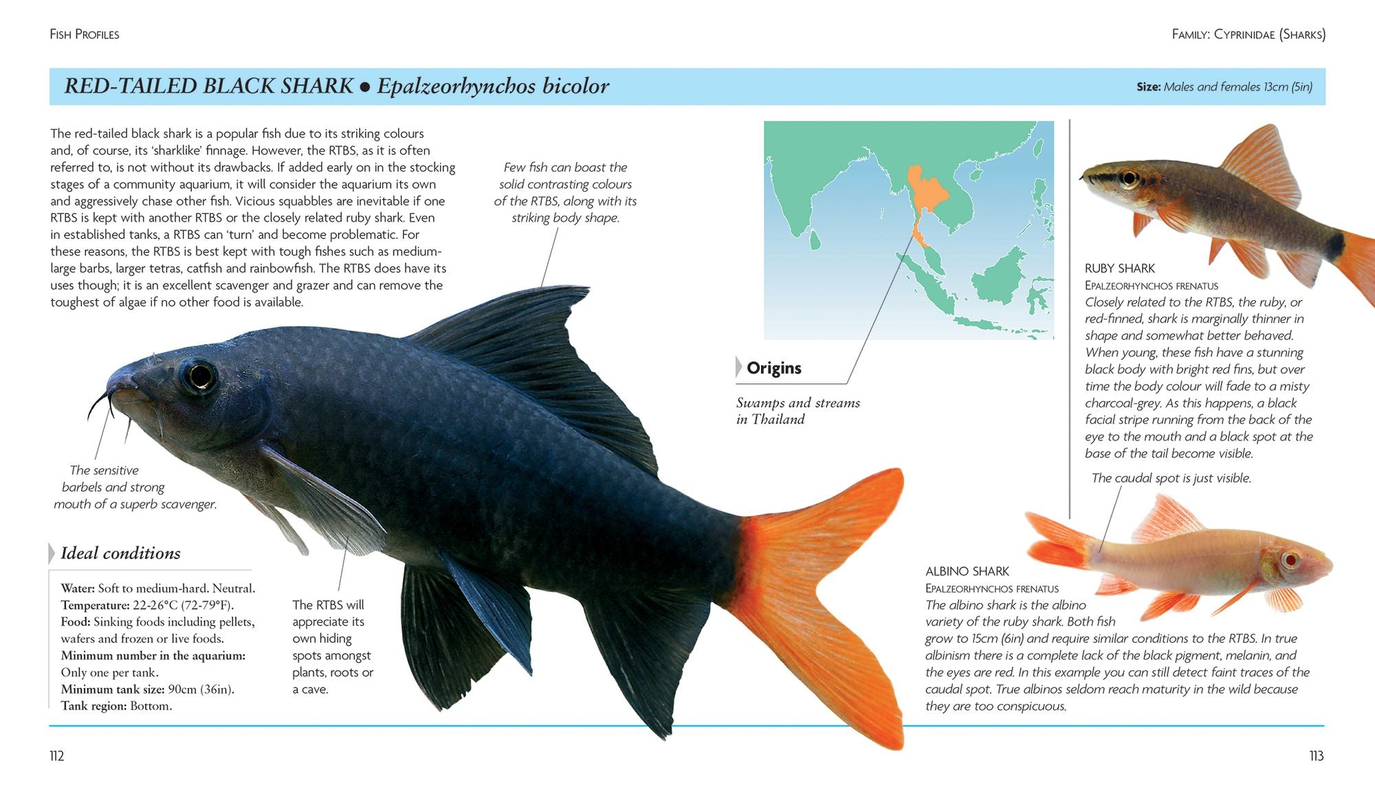 Mini Encyclopedia The Tropical Aquarium: Comprehensive Coverage, from Setting Up an Aquarium to Choosing the Best Fishes