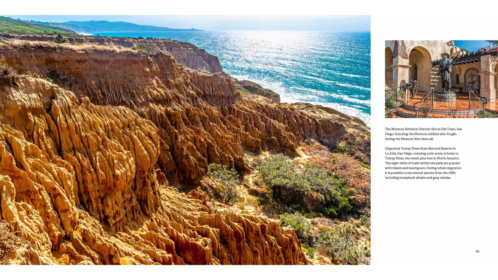 California: The Golden State
