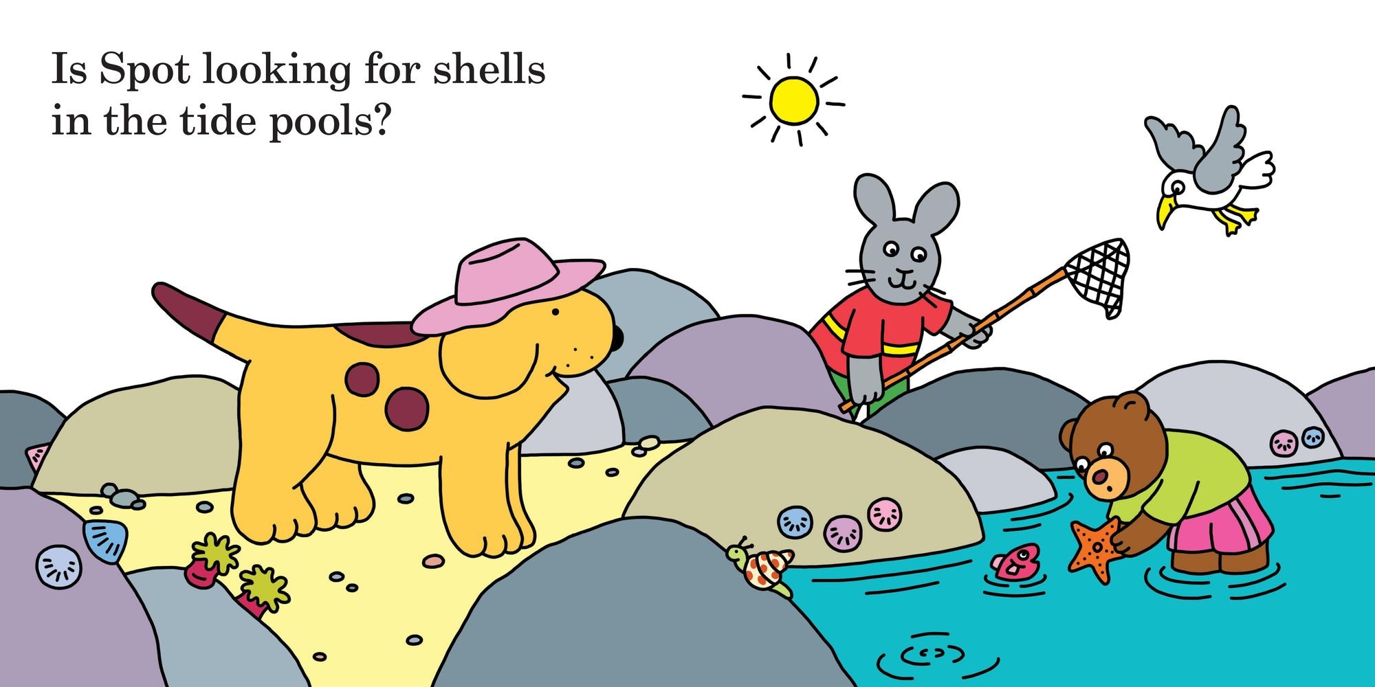 Find Spot at the Beach: A Lift-the-Flap Book