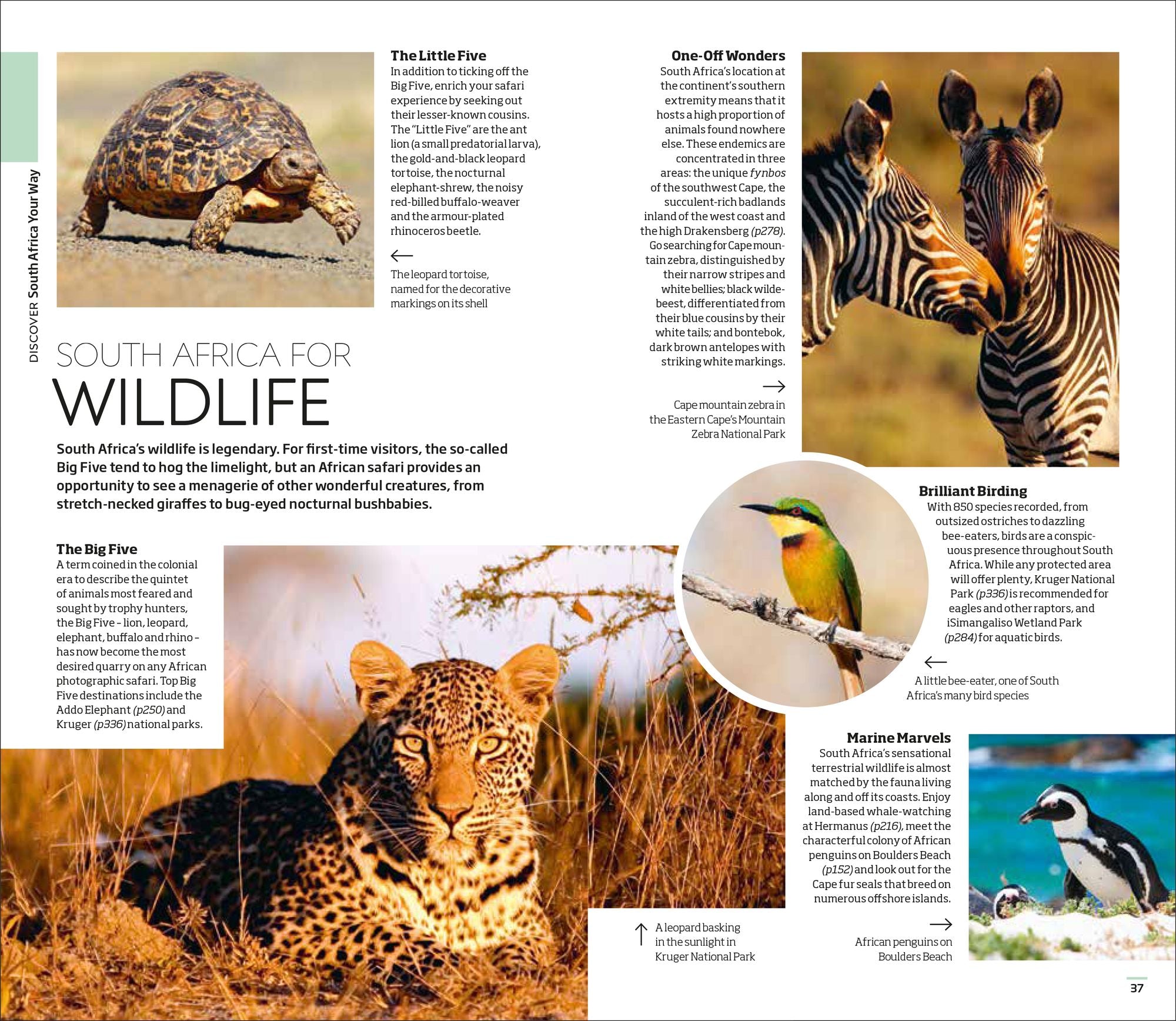 DK South Africa: Must-See Sights. Culture & History. Detailed Maps & Tours. Covers Cape Town, Kruger National Park, &