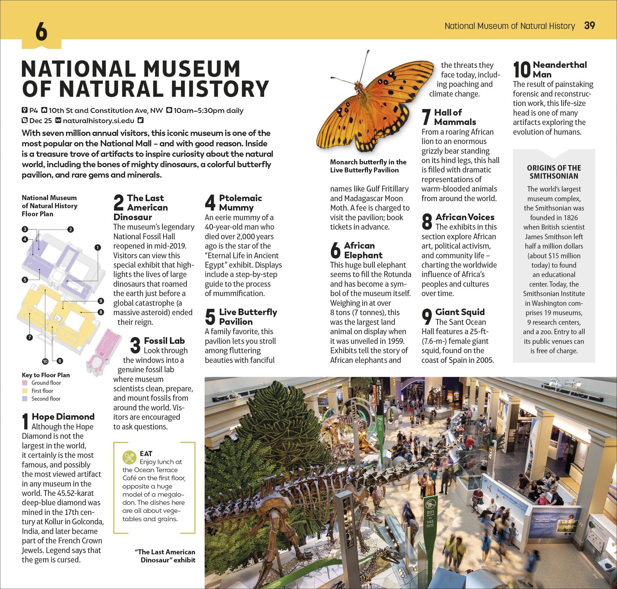 DK Top 10 Washington, DC: Top 10 lists for your perfect trip, plus an all-weather folded map