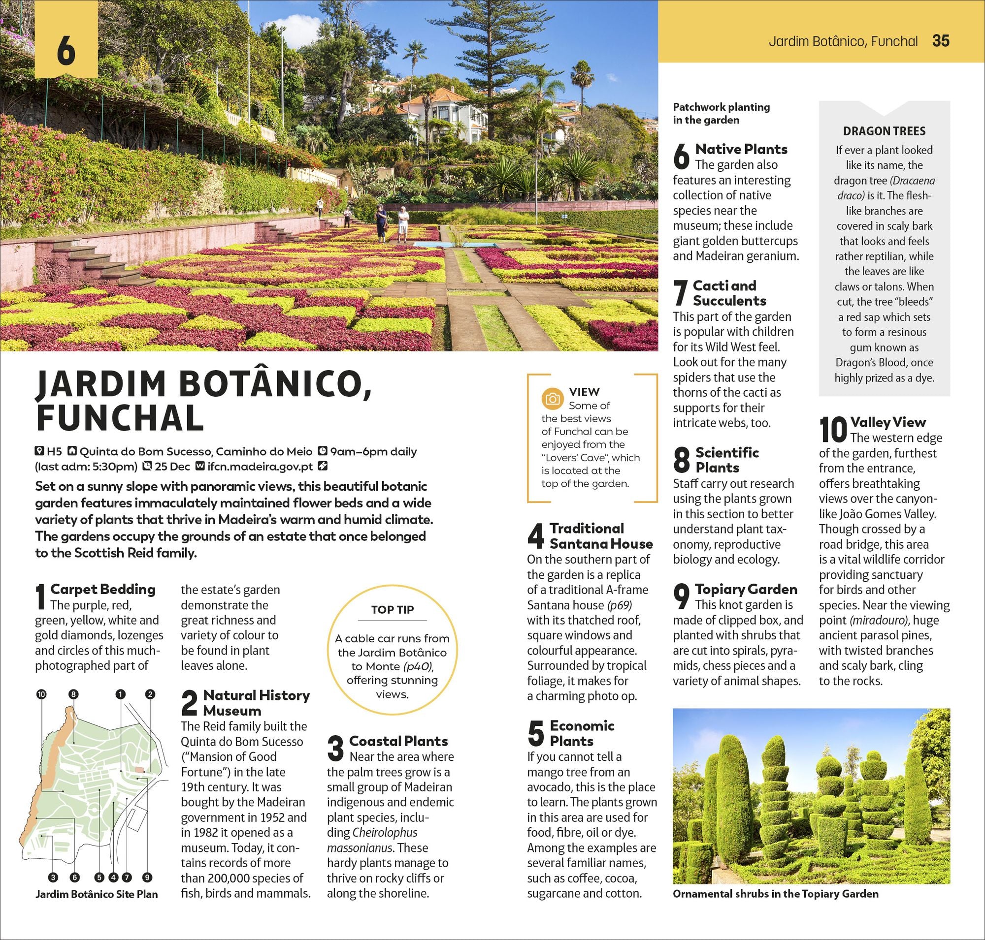 DK Top 10 Madeira: Top 10 lists for your perfect trip, plus an all-weather folded map