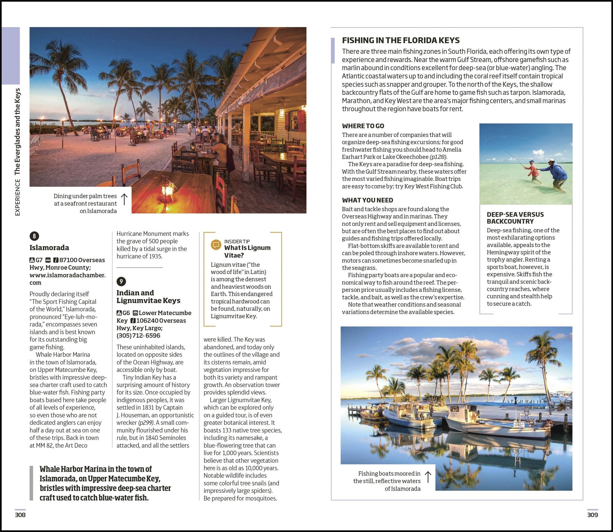 DK Florida: Must-See Sights. Culture & History. Detailed Maps & Tours. Covers Orlando, Miami, Key West, & more