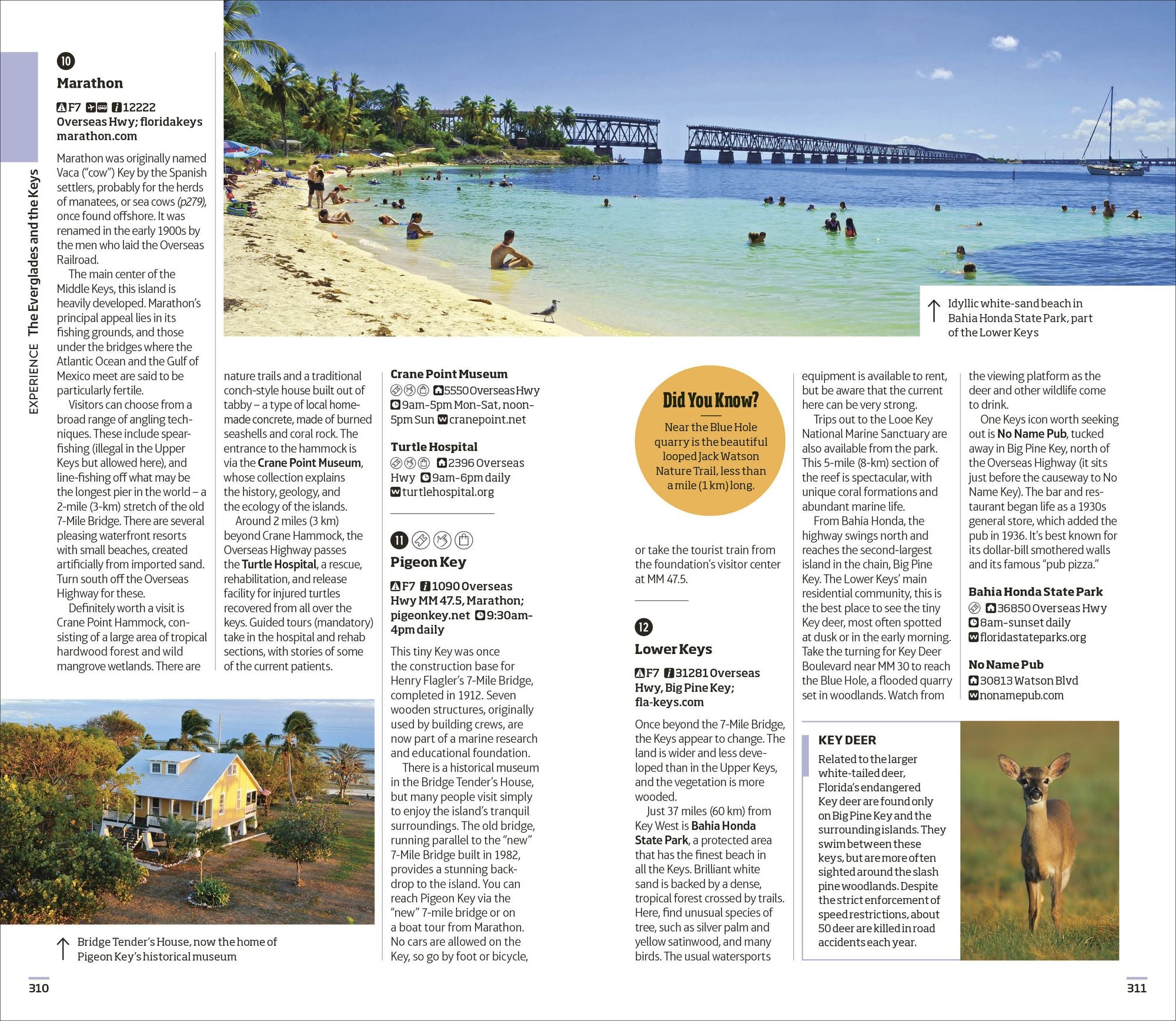 DK Florida: Must-See Sights. Culture & History. Detailed Maps & Tours. Covers Orlando, Miami, Key West, & more