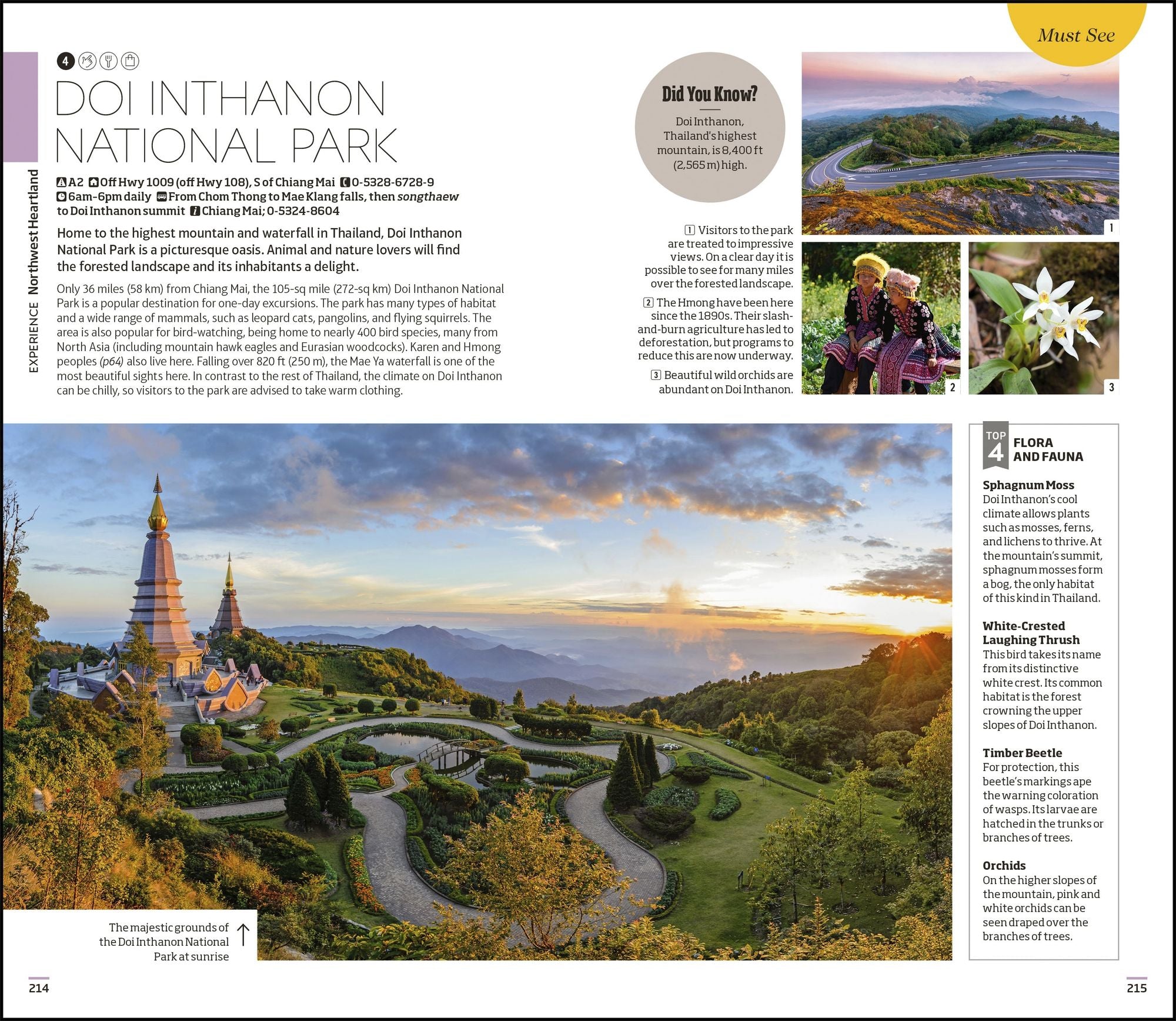 DK Thailand: Must-See Sights. Culture & History. Detailed Maps & Tours. Covers Bangkok, Chiang Mai, Phuket, & mor