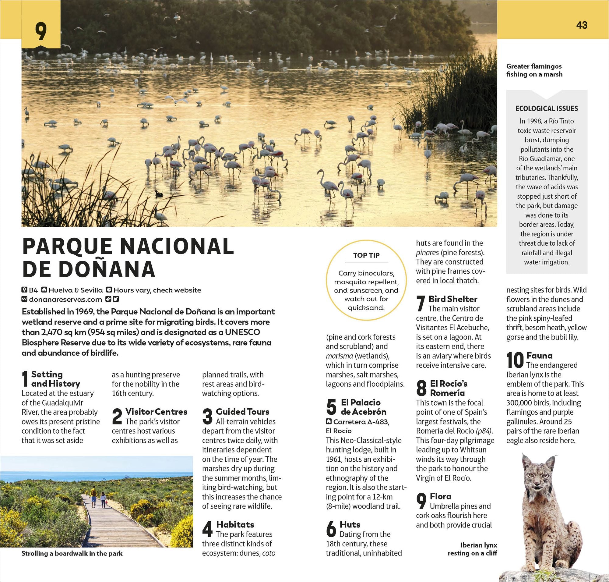 DK Top 10 Andalucía and the Costa del Sol: Top 10 lists for your perfect trip, plus an all-weather folded map