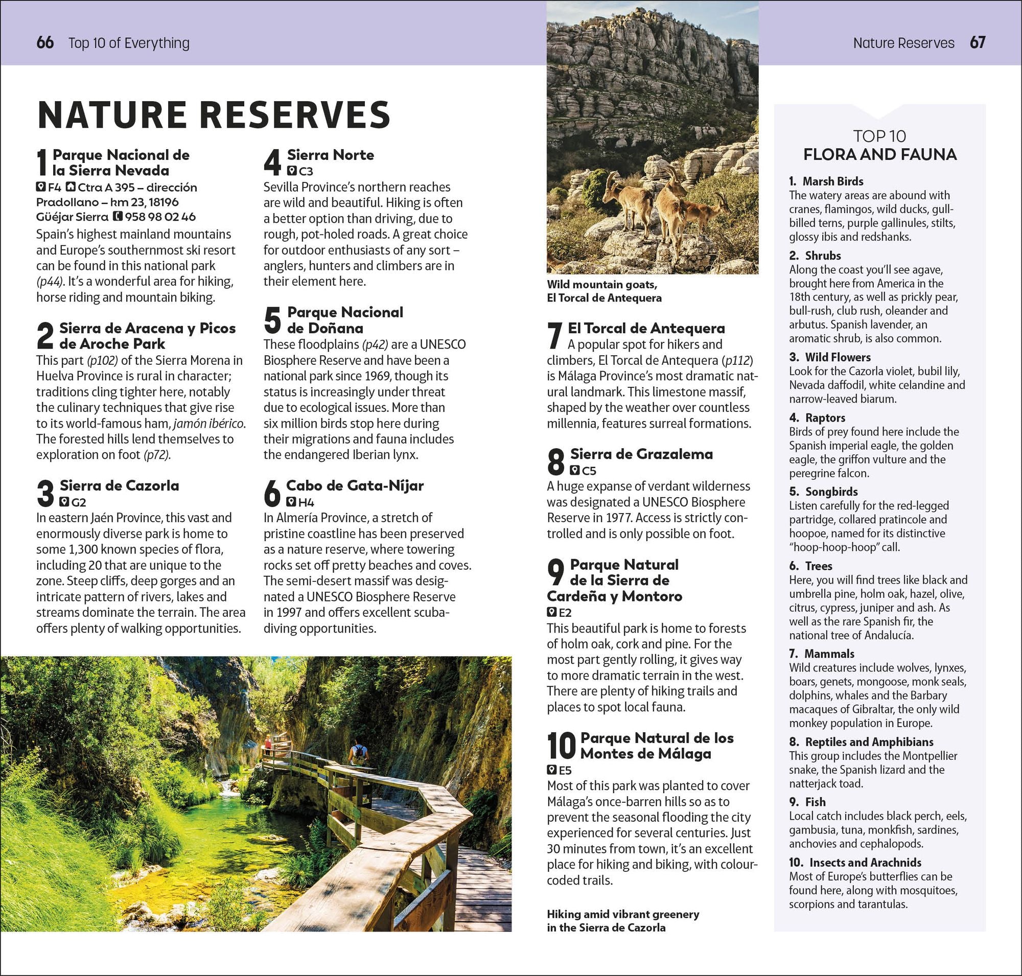 DK Top 10 Andalucía and the Costa del Sol: Top 10 lists for your perfect trip, plus an all-weather folded map