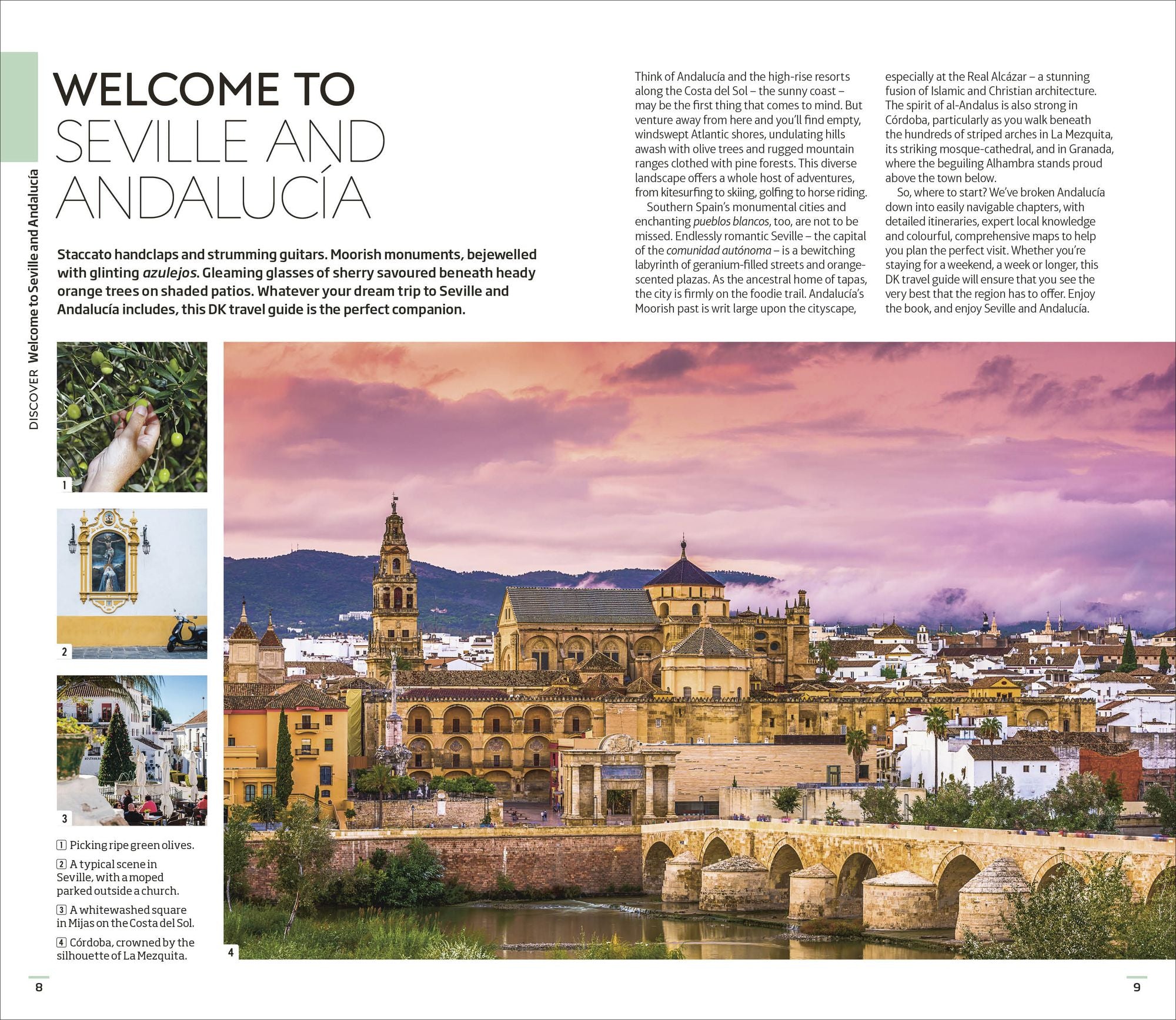 DK Seville and Andalucia: Must-See Sights. Culture & History. Detailed Maps & Tours. Covers Triana, Granada, & more