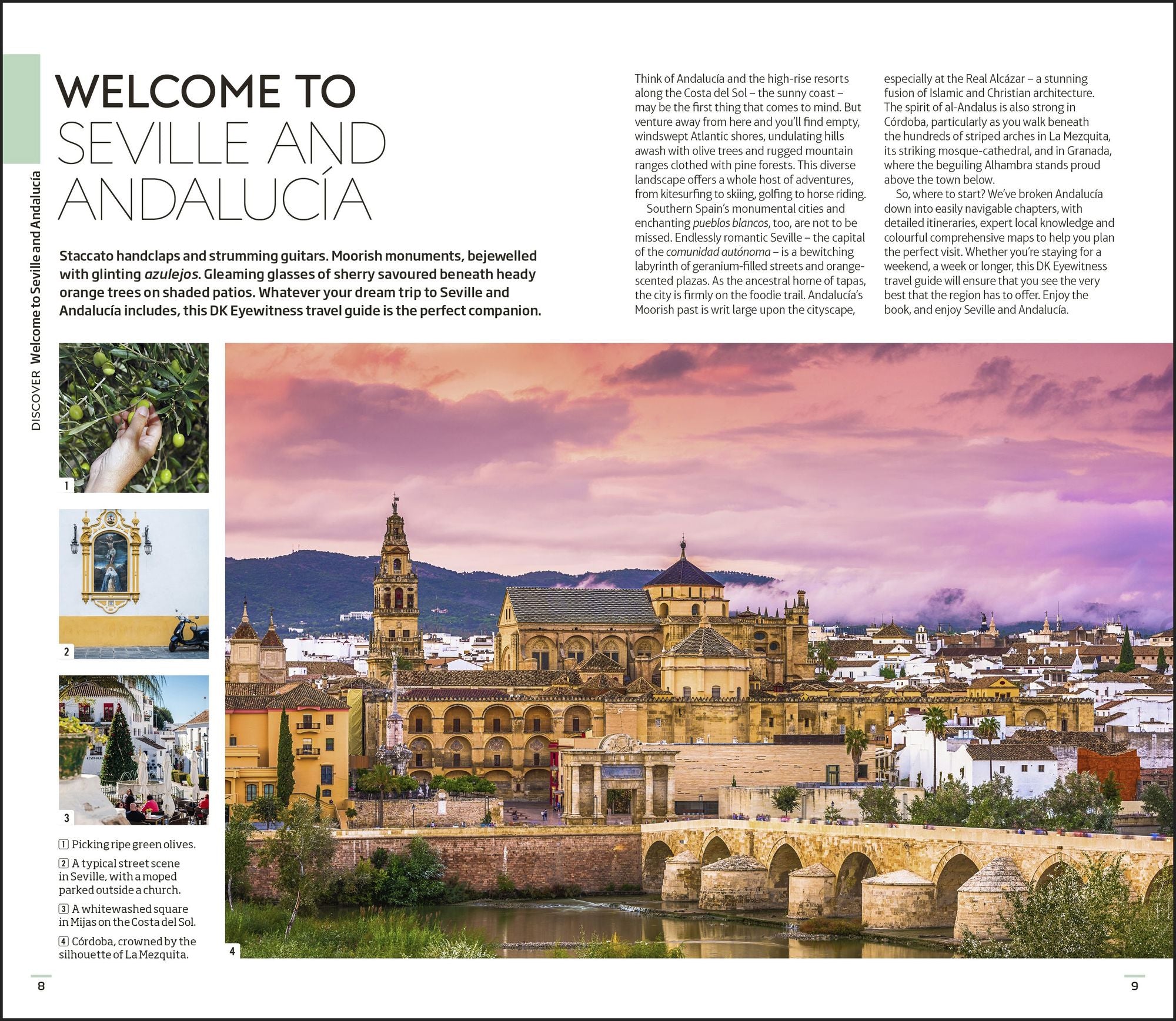DK Seville and Andalucia: Must-See Sights. Culture & History. Detailed Maps & Tours. Covers Triana, Granada, & more