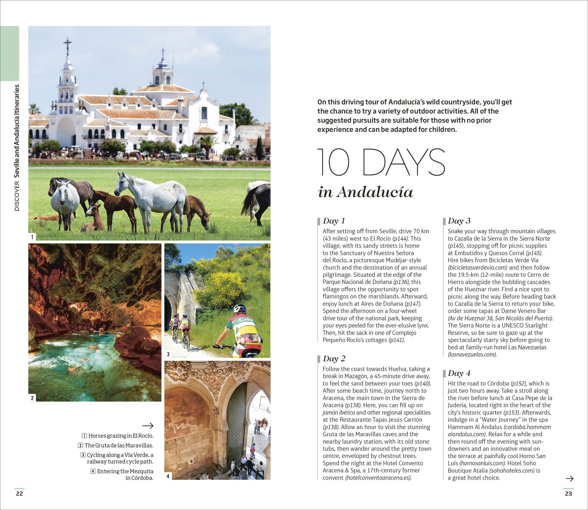 DK Seville and Andalucia: Must-See Sights. Culture & History. Detailed Maps & Tours. Covers Triana, Granada, & more