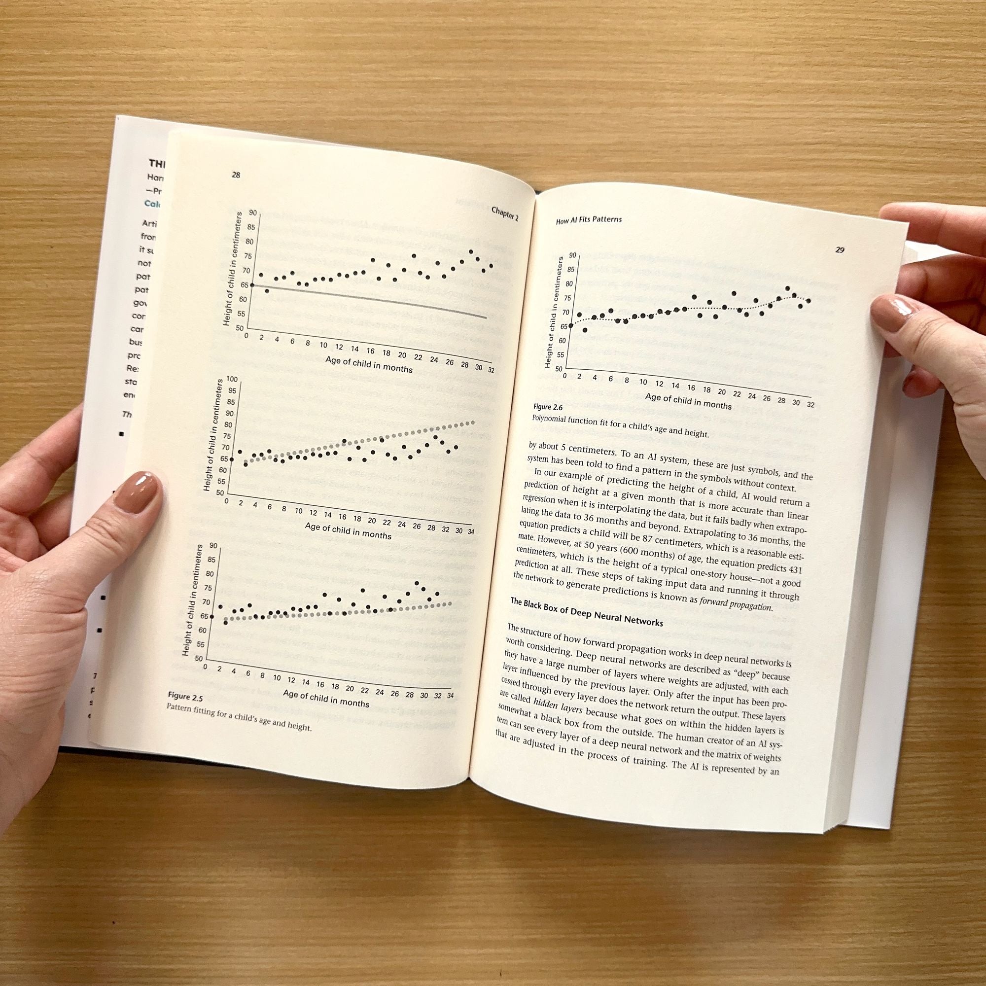 The AI Conundrum: Harnessing the Power of AI for Your Organization--Profitably and Safely