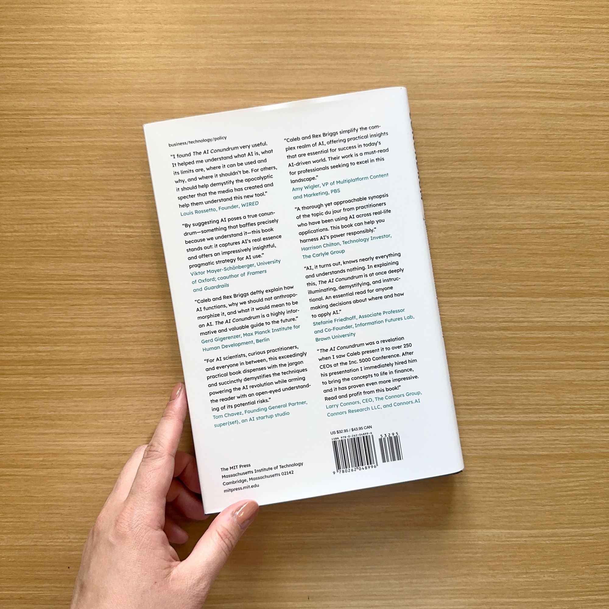 The AI Conundrum: Harnessing the Power of AI for Your Organization--Profitably and Safely