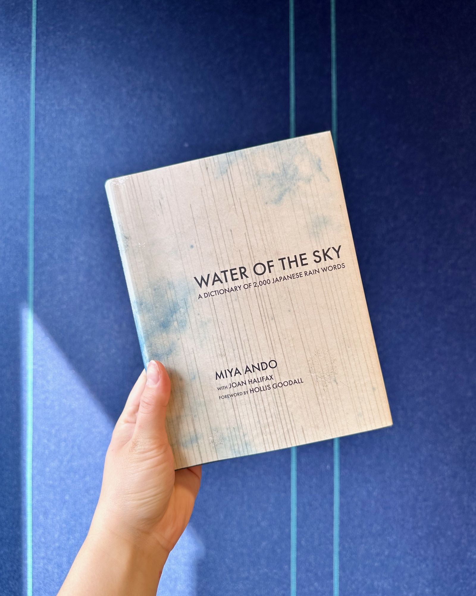 Water of the Sky: A Dictionary of 2,000 Japanese Rain Words