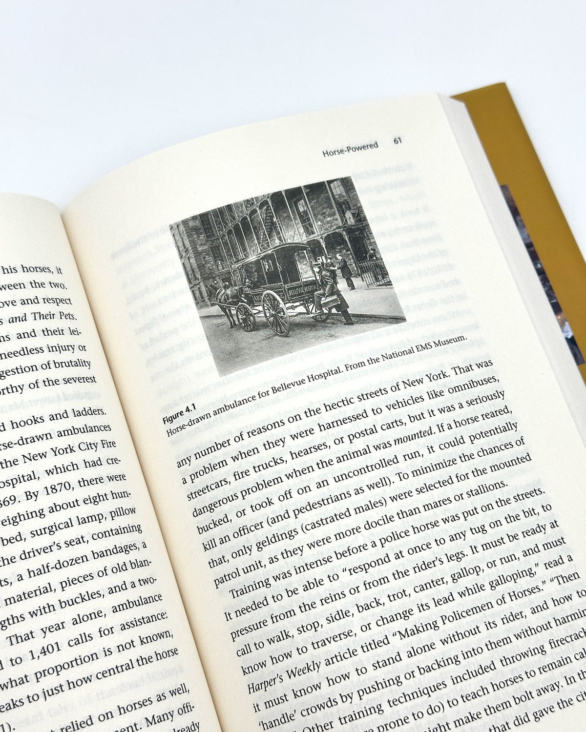 Nary a Horse Left Standing: How a Nineteenth-Century Epidemic Transformed Medicine, Animal Welfare, and the Modern City