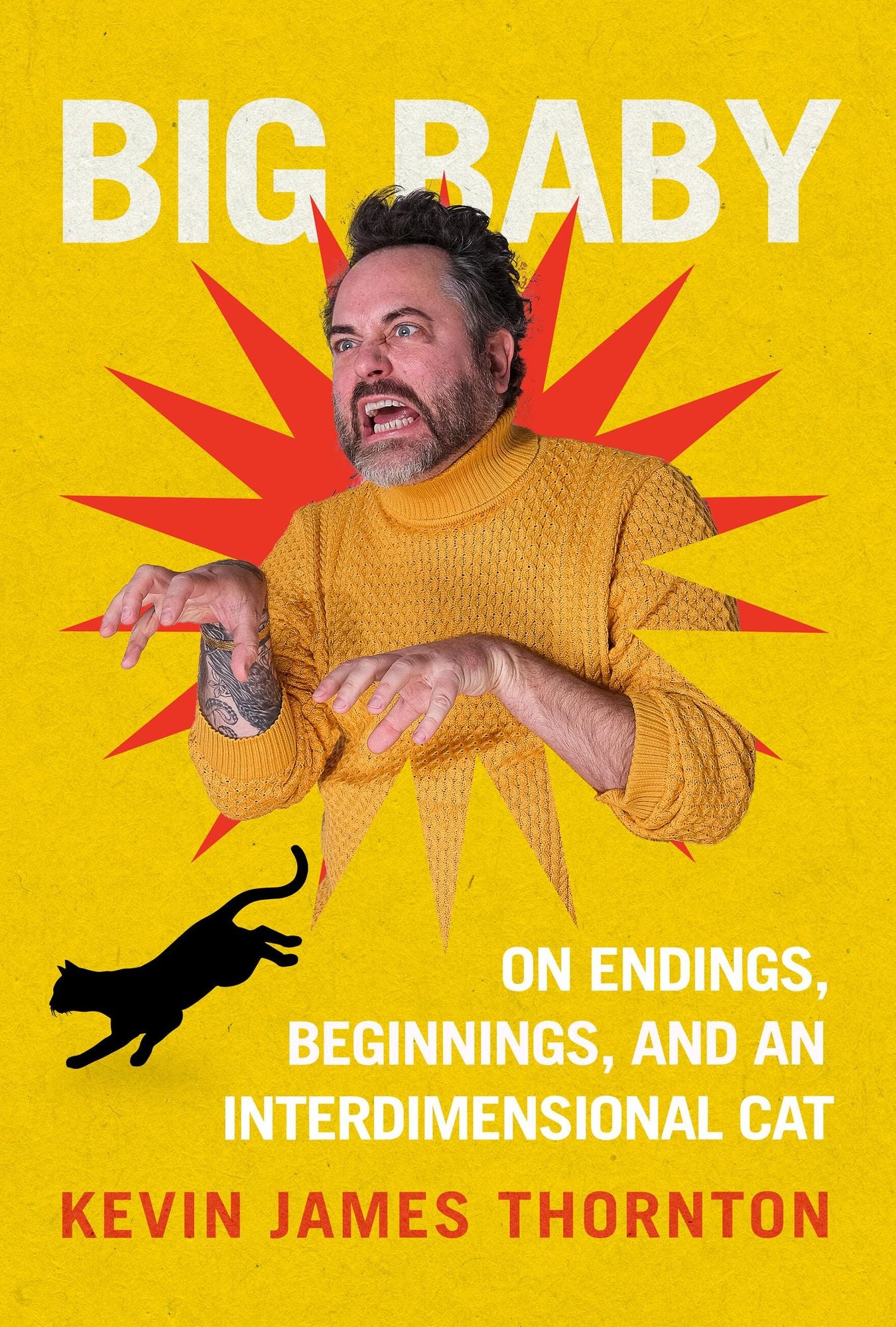 Big Baby: On Endings, Beginnings, and an Interdimensional Cat
