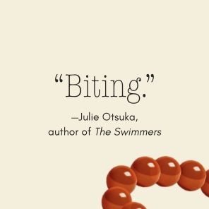 Swallows: A Novel