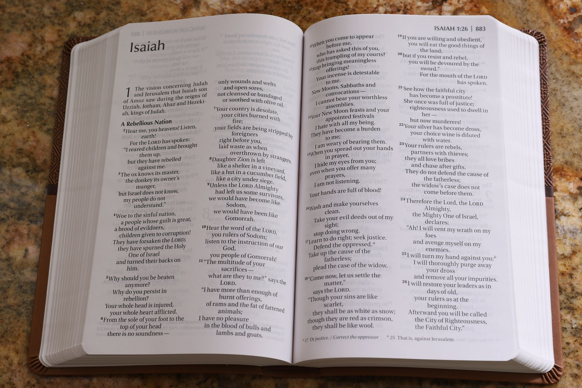 NIV, ReadEasy Bible, Large Print, Leathersoft, Tan, Red Letter