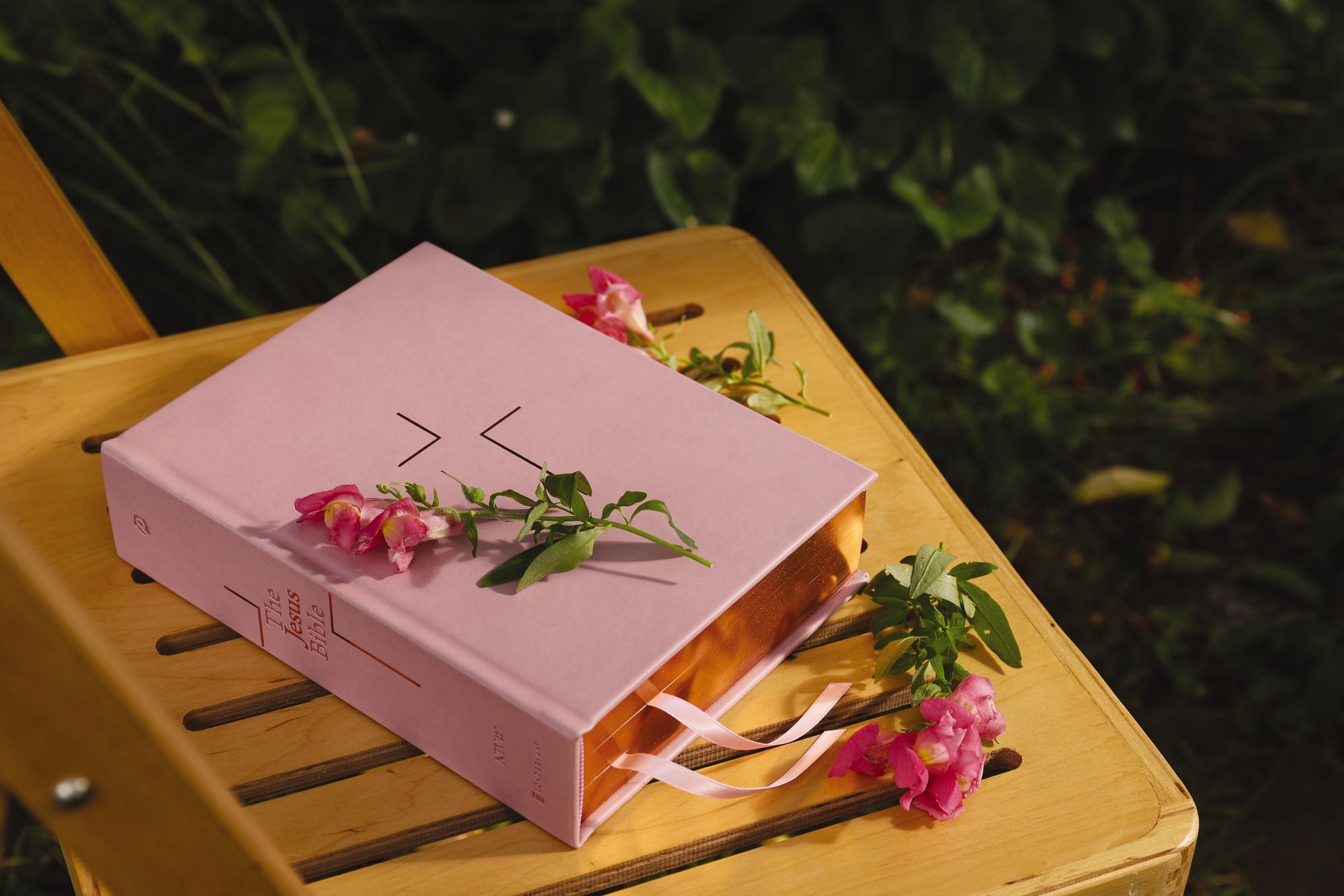 The Jesus Bible, NIV Edition, Leathersoft over Board, Pink, Comfort Print: Sixty-Six Books. One Story. All About One Name.