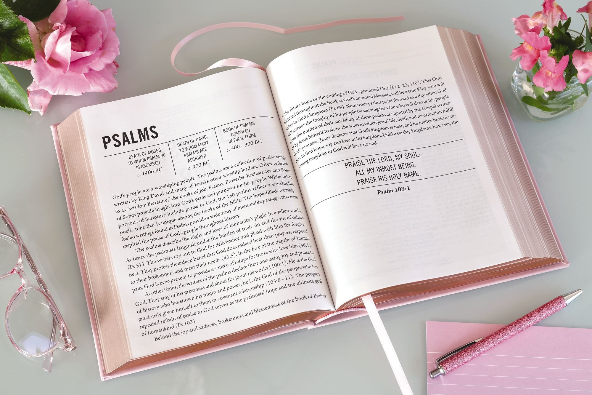 The Jesus Bible, NIV Edition, Leathersoft over Board, Pink, Comfort Print: Sixty-Six Books. One Story. All About One Name.