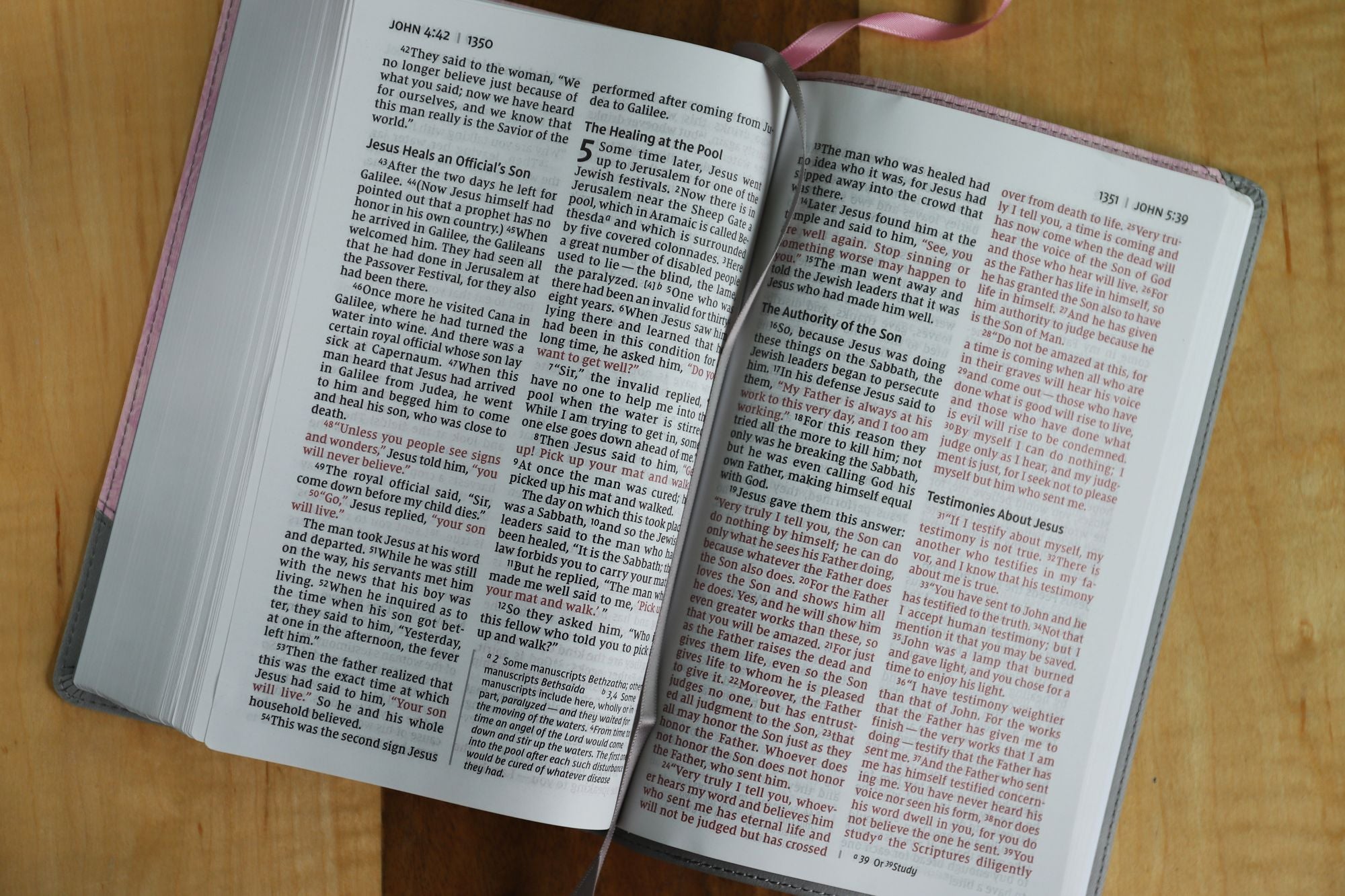 NIV, Personal Size Bible, Large Print, Leathersoft, Pink/Gray, Red Letter, Comfort Print
