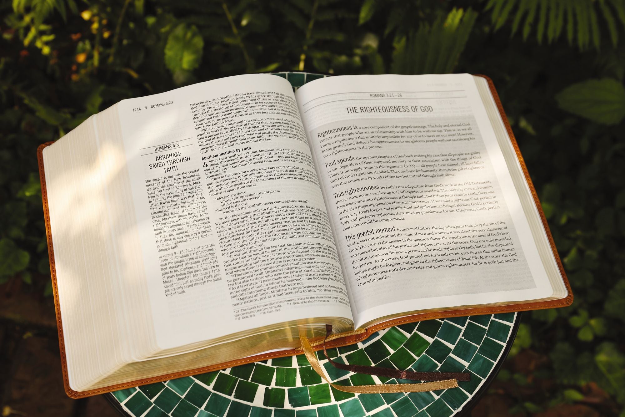 The Jesus Bible, NIV Edition, Leathersoft, Tan, Comfort Print