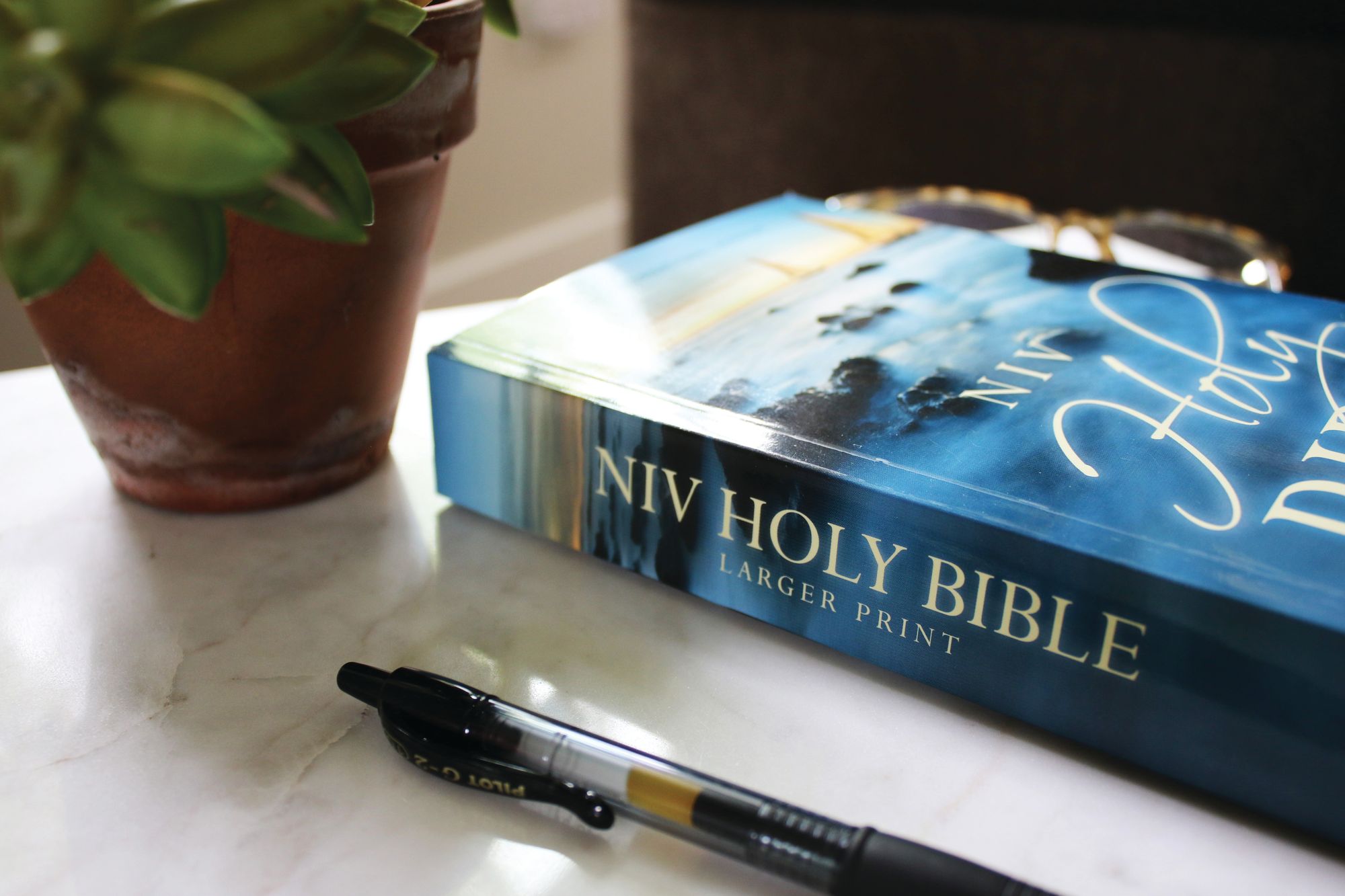 NIV, Holy Bible, Larger Print, Economy Edition, Paperback, Blue, Comfort Print