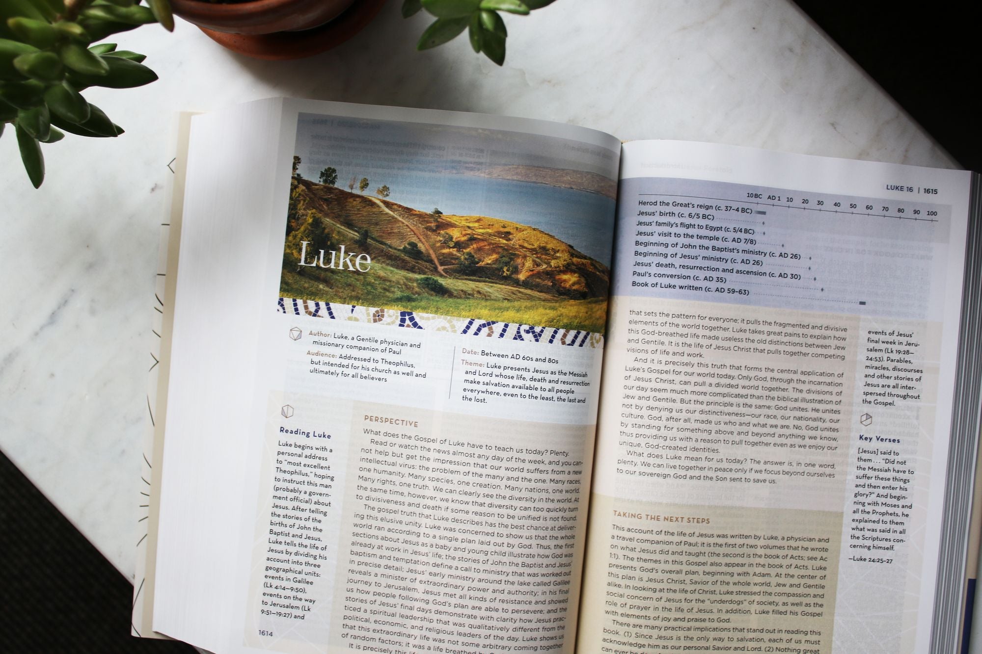 NIV Application Bible, Hardcover, Multi-Cream, Red Letter, Comfort Print: Bringing the Ancient Message of the Bible into Your World