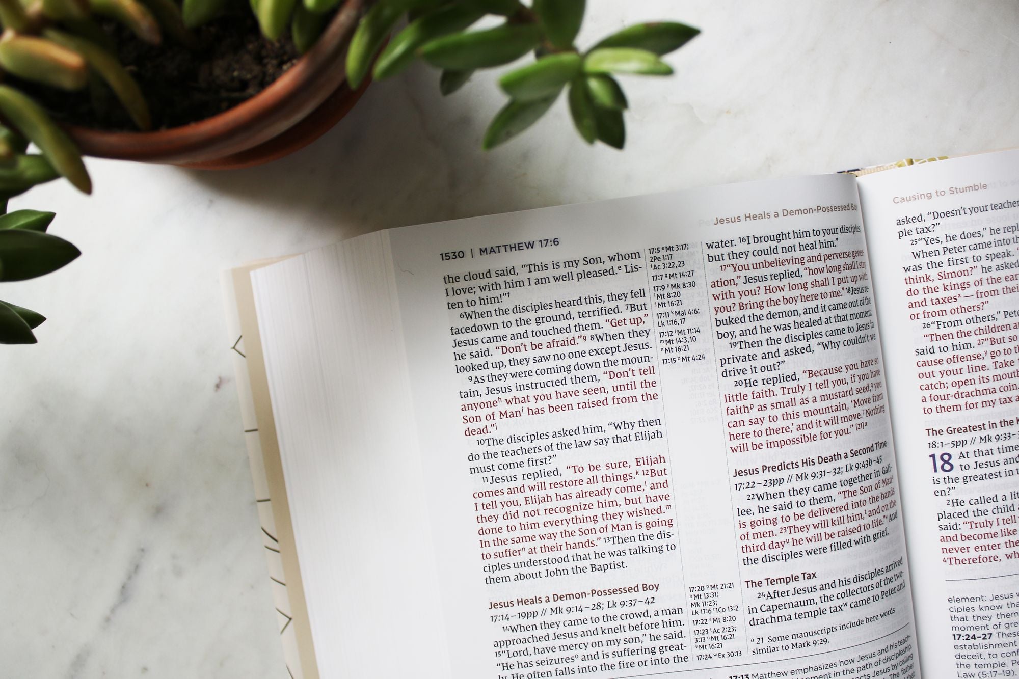 NIV Application Bible, Hardcover, Multi-Cream, Red Letter, Comfort Print: Bringing the Ancient Message of the Bible into Your World