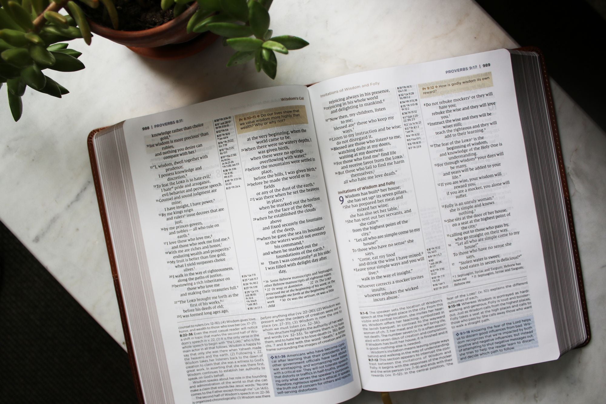 NIV Application Bible, Leathersoft, Brown, Red Letter, Comfort Print: Bringing the Ancient Message of the Bible into Your World