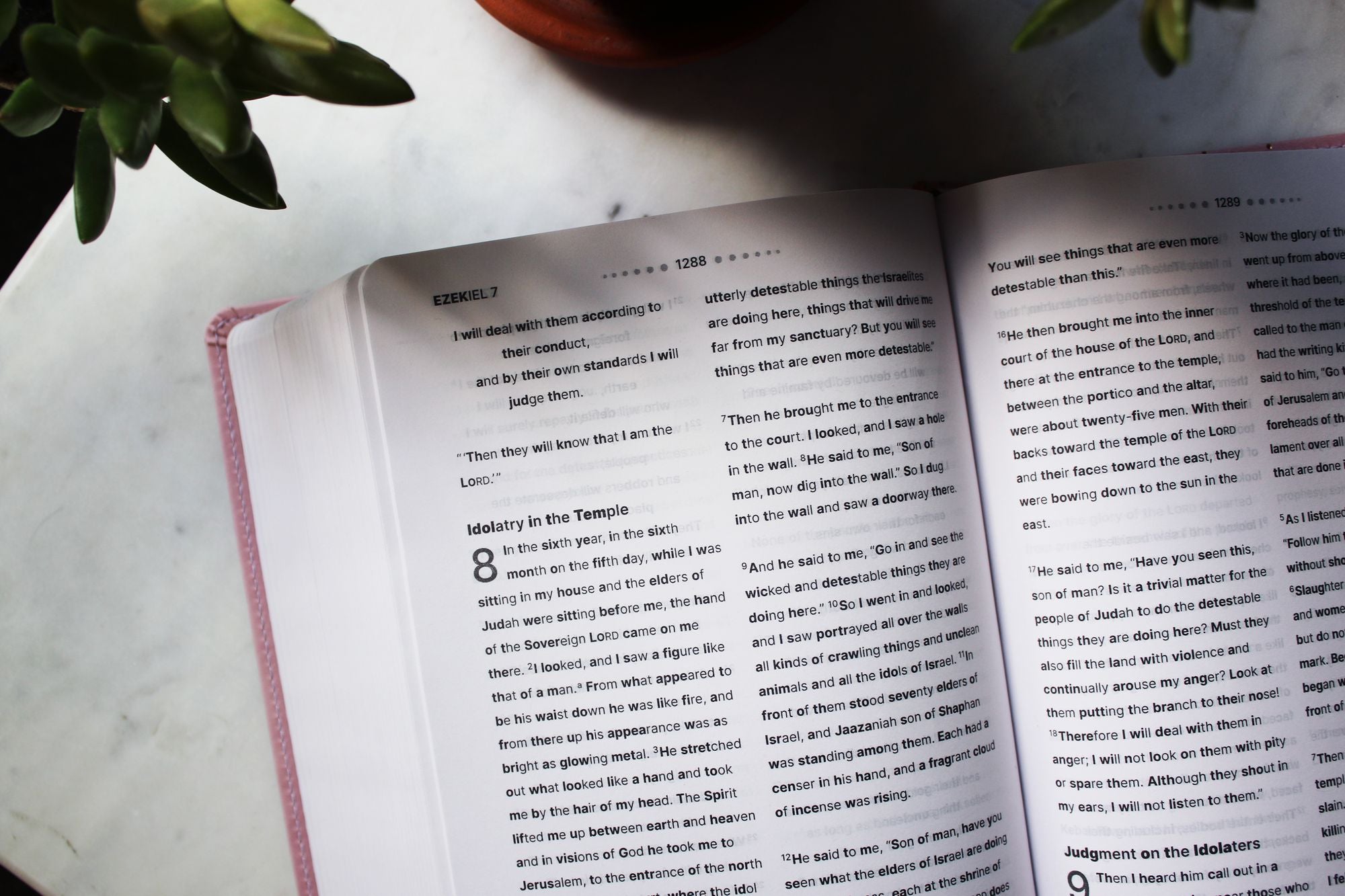 NIV, Clear Focus Bible, Leathersoft, Pink: Read more of the Bible with better focus using the Bionic Reading Method