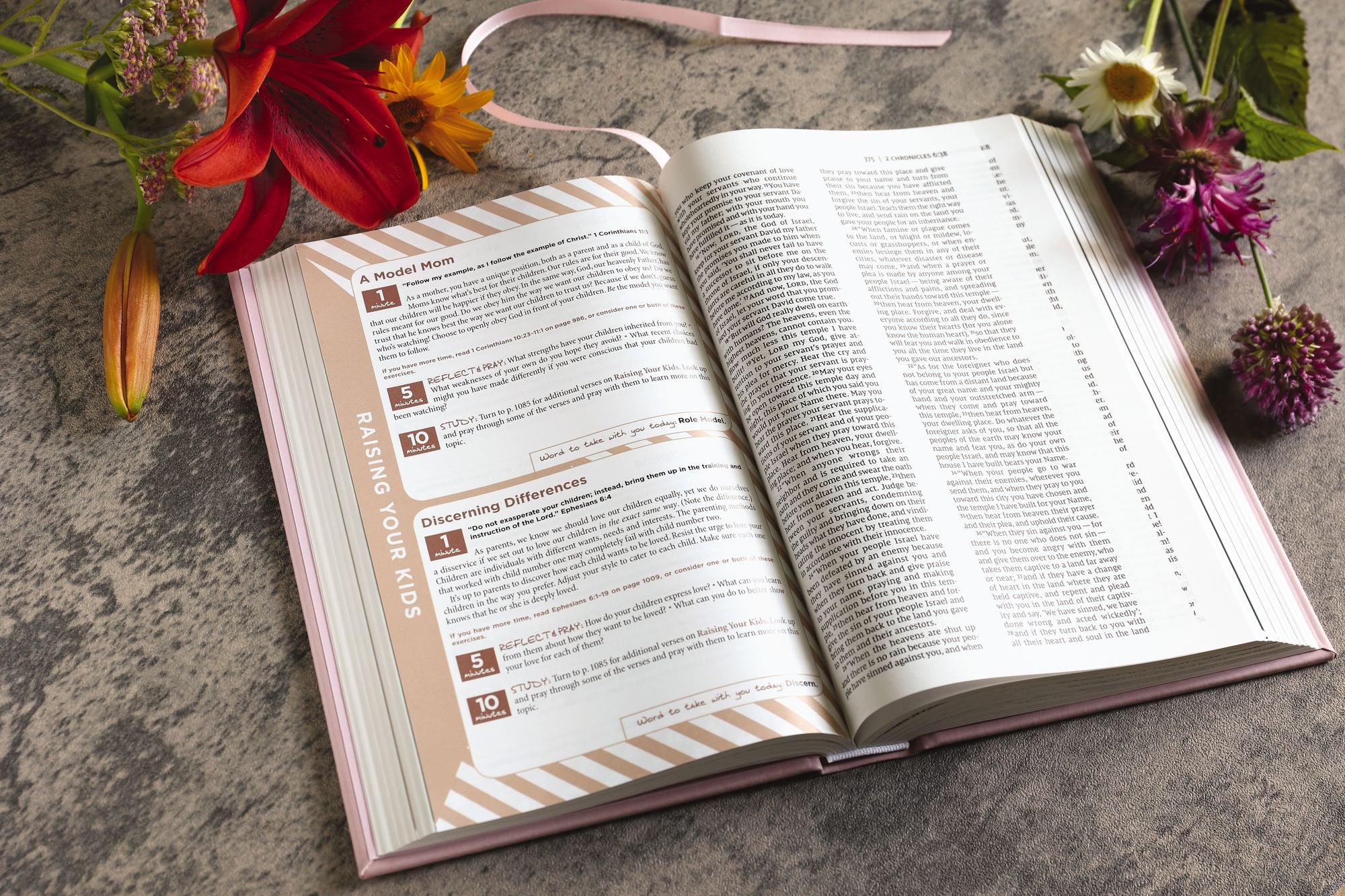 NIV, The Busy Mom's Bible, Leathersoft over Board, Pink, Red Letter, Comfort Print: Daily Inspiration Even If You Only Have One Minute