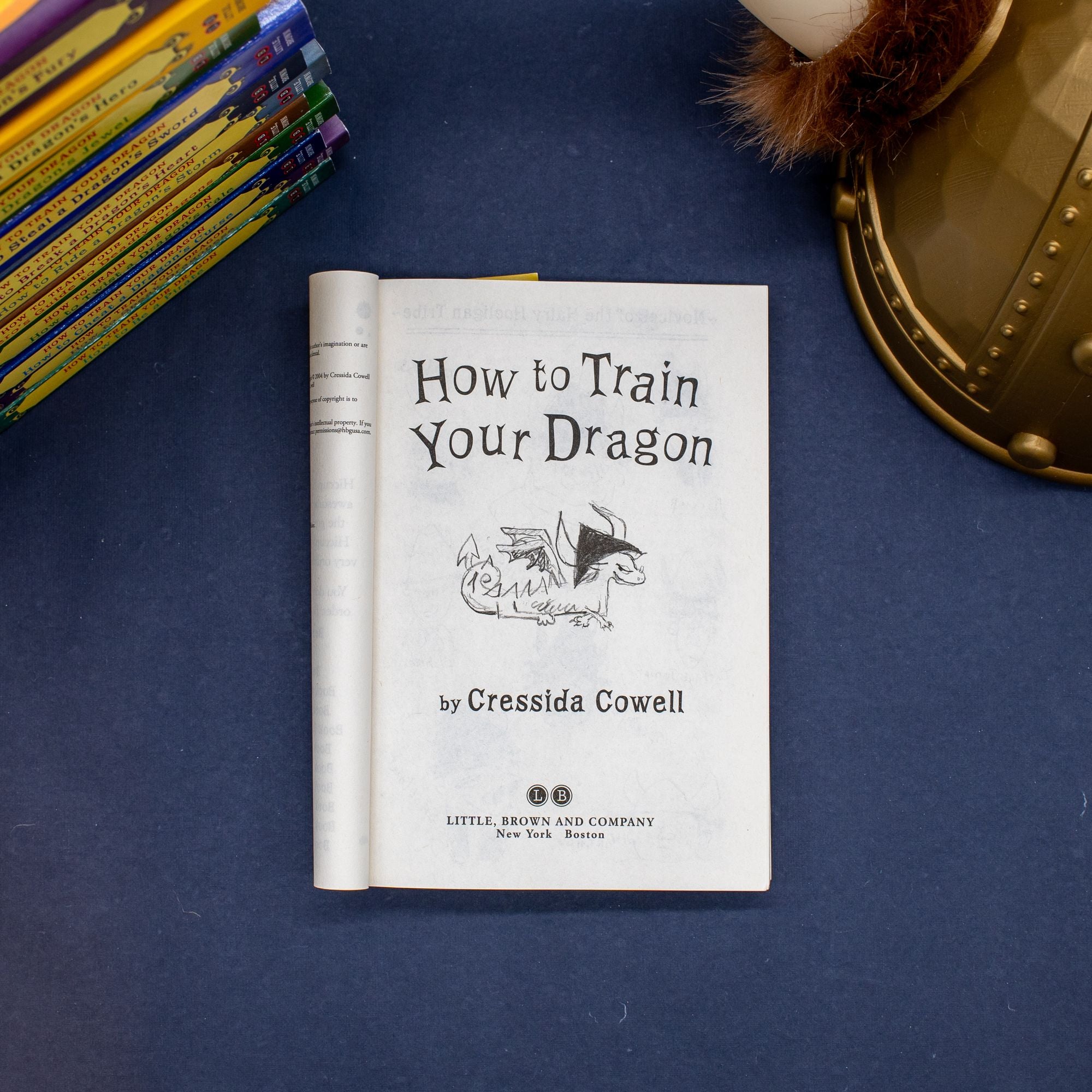 How to Train Your Dragon (How to Train Your Dragon Series #1)