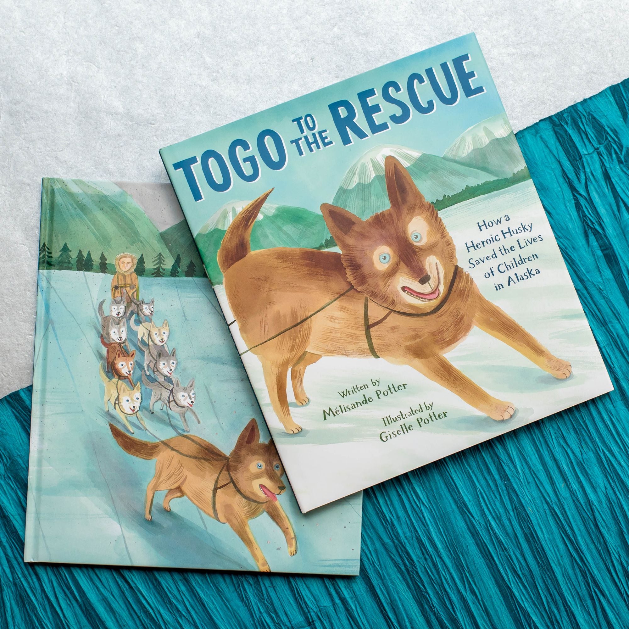 Togo to the Rescue: How a Heroic Husky Saved the Lives of Children in Alaska