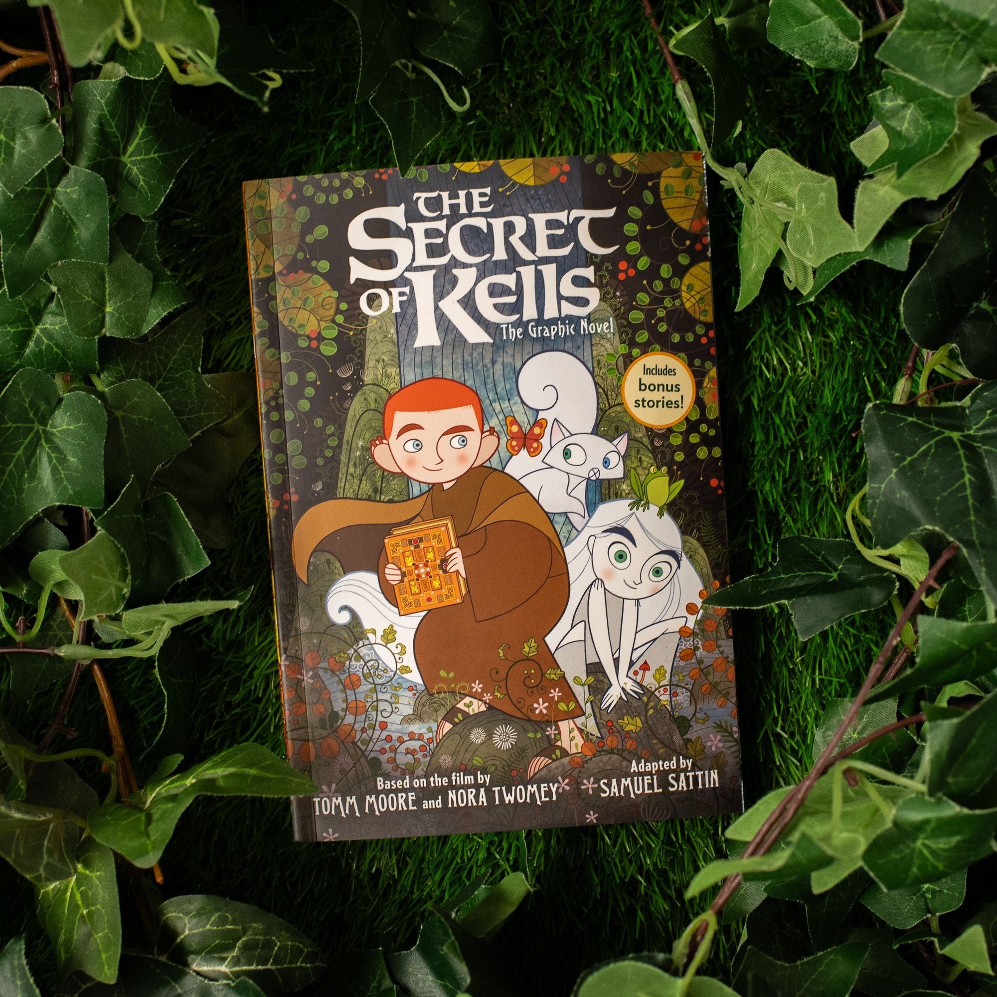 The Secret of Kells: The Graphic Novel