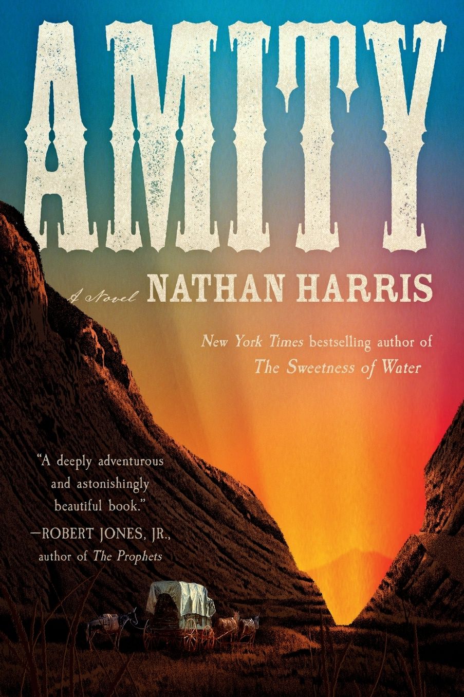 Amity: A Novel