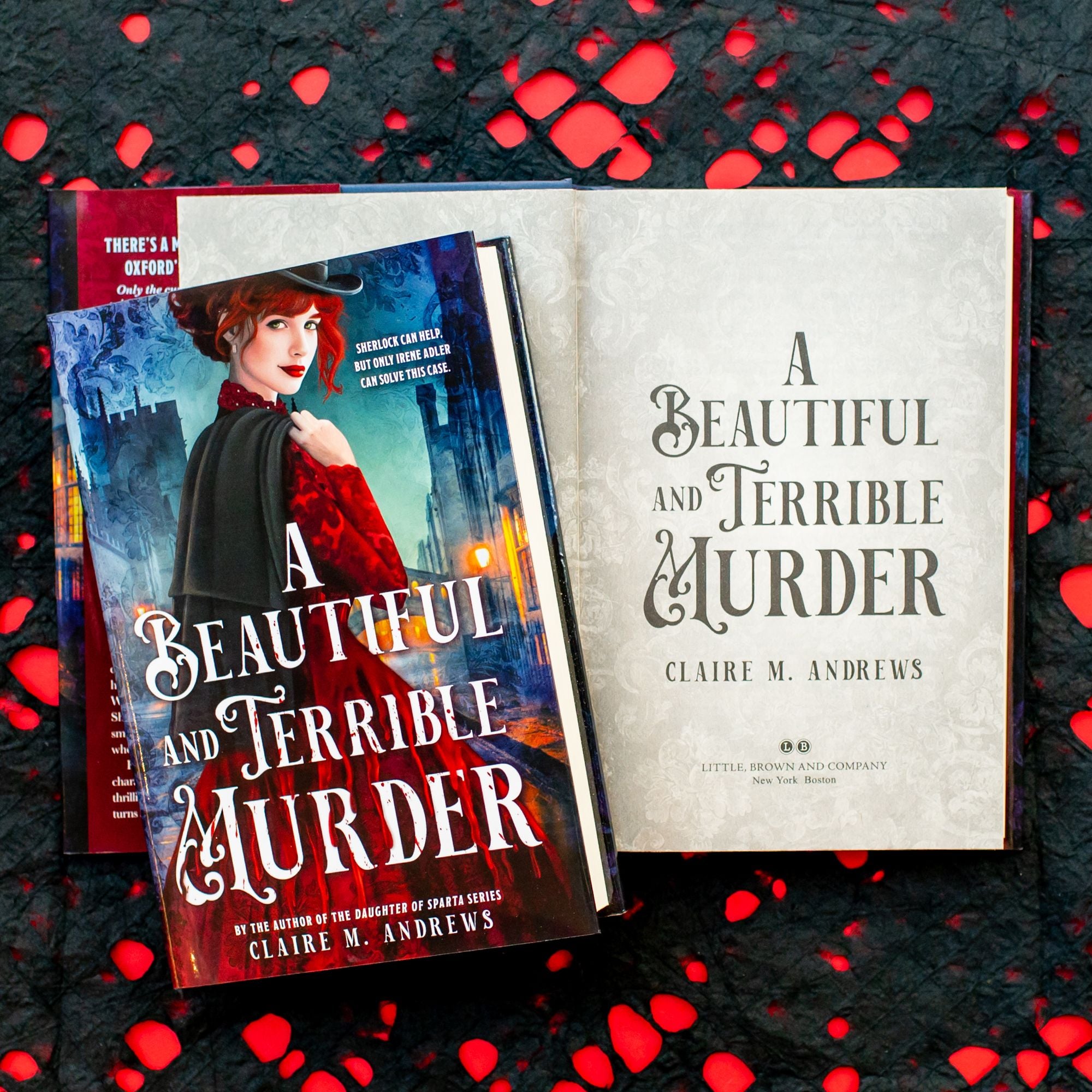 A Beautiful and Terrible Murder