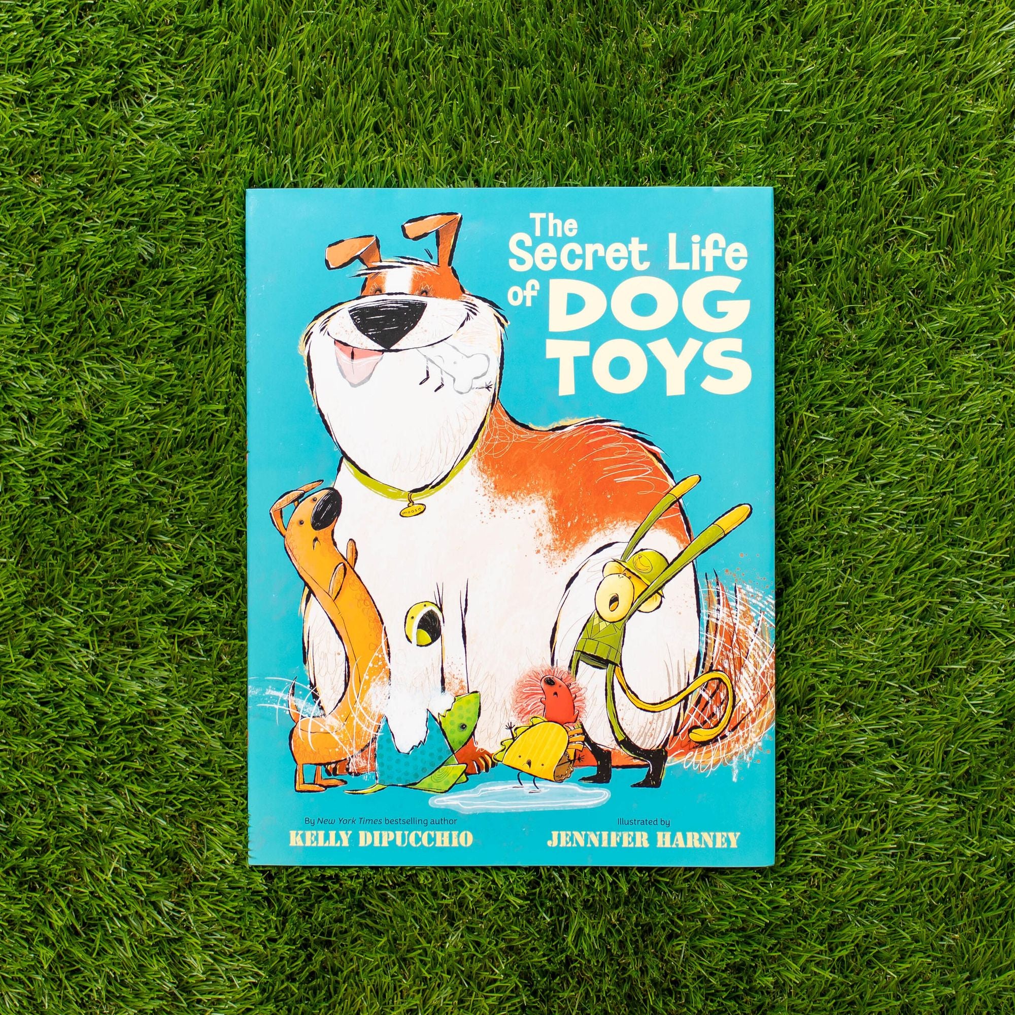 The Secret Life of Dog Toys
