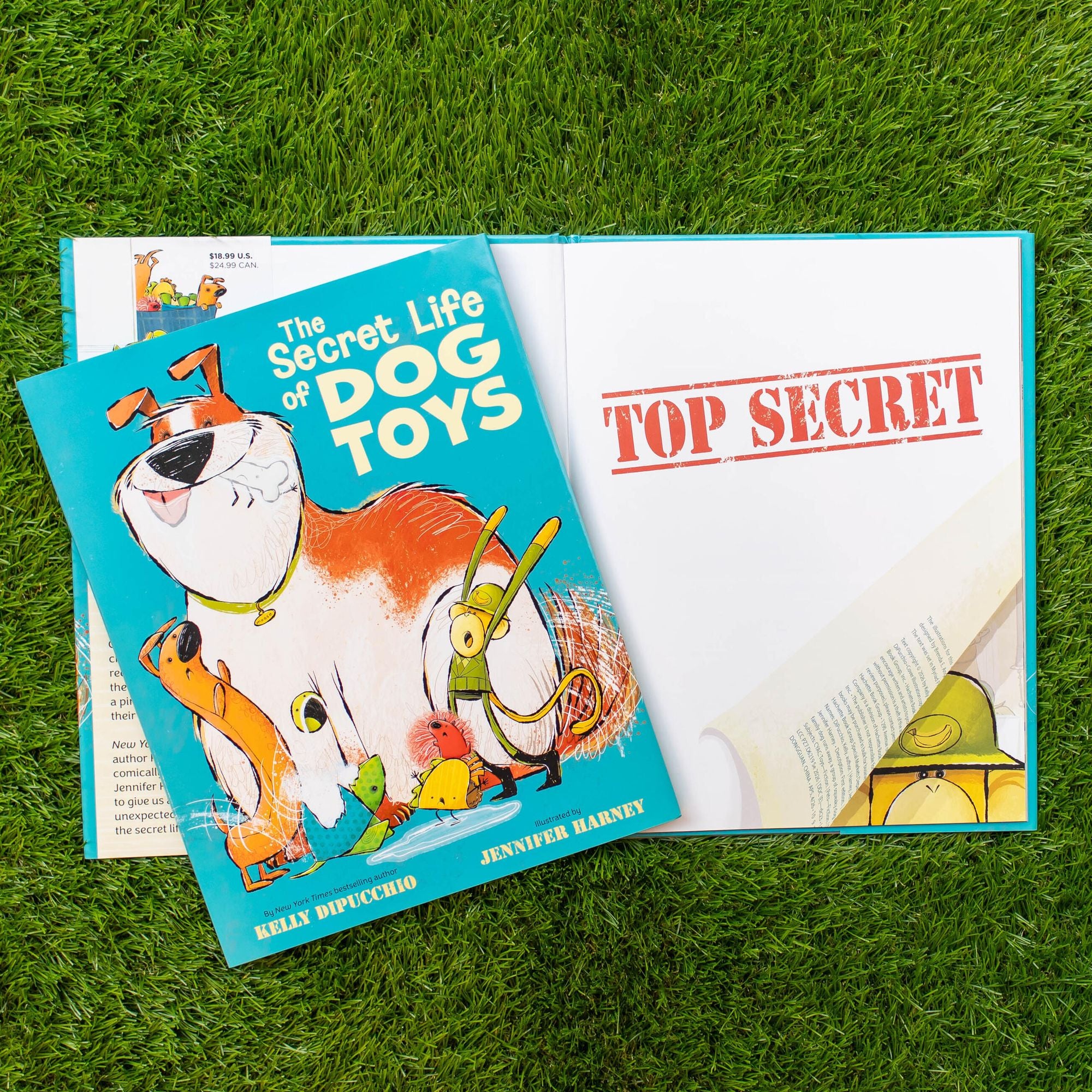 The Secret Life of Dog Toys