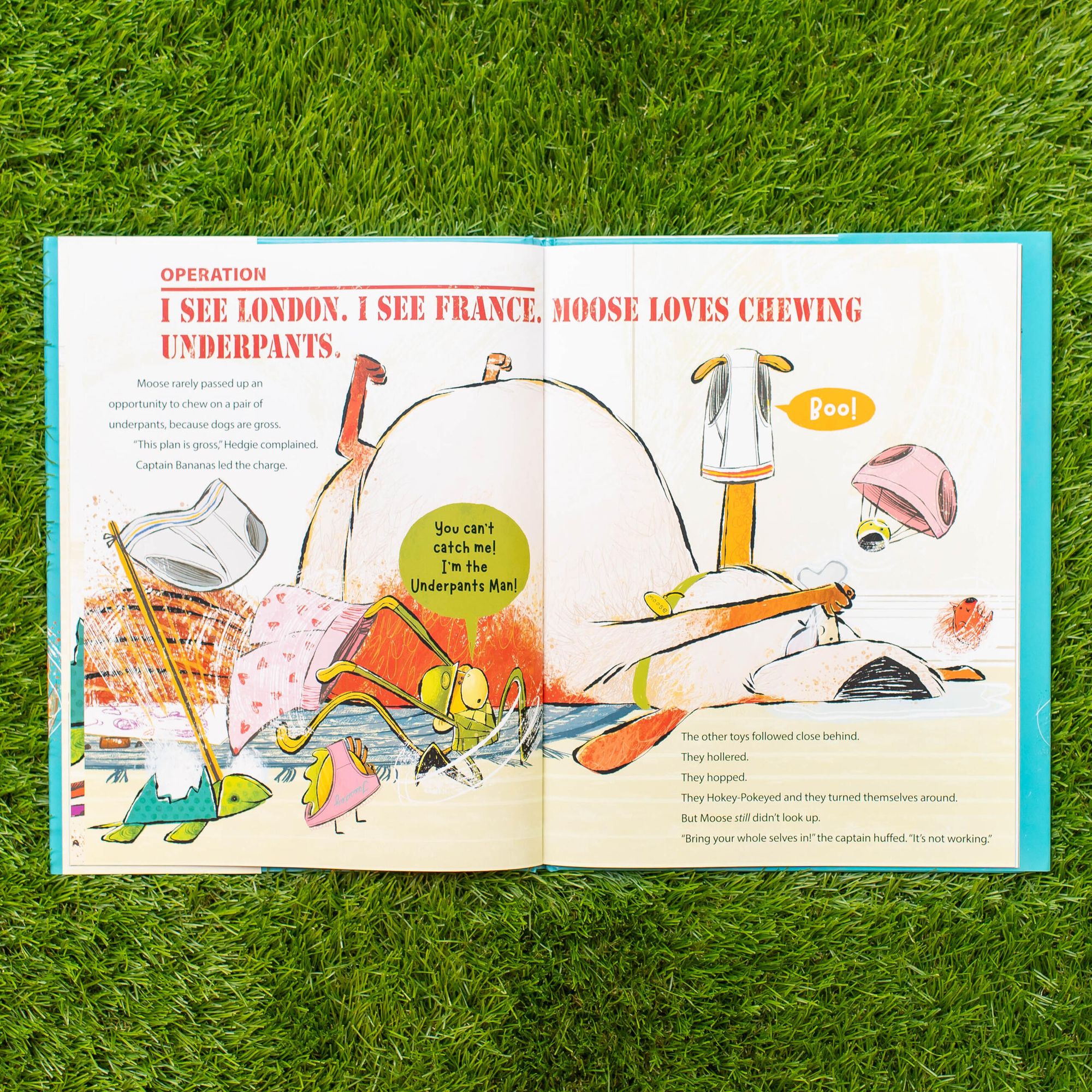 The Secret Life of Dog Toys