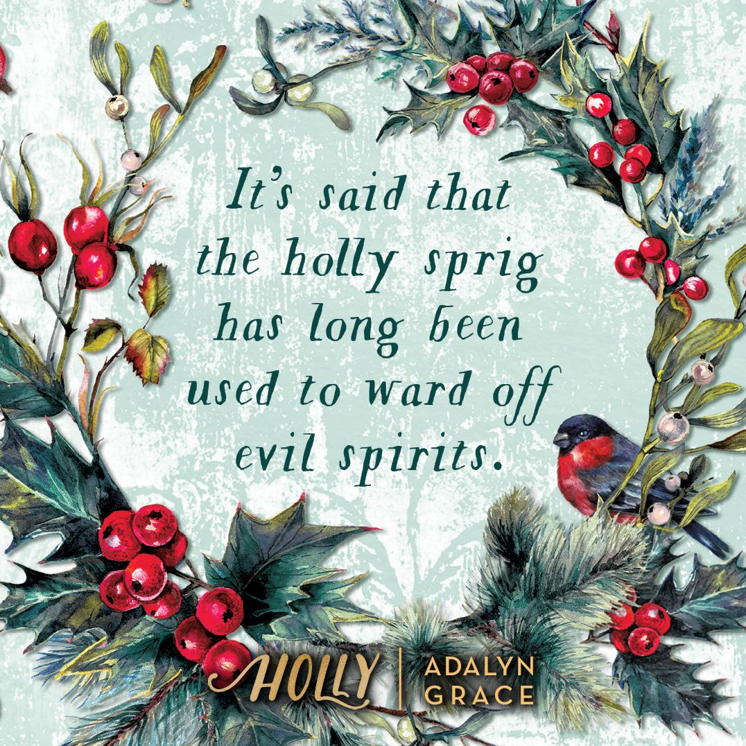 Holly: A Belladonna Novella
