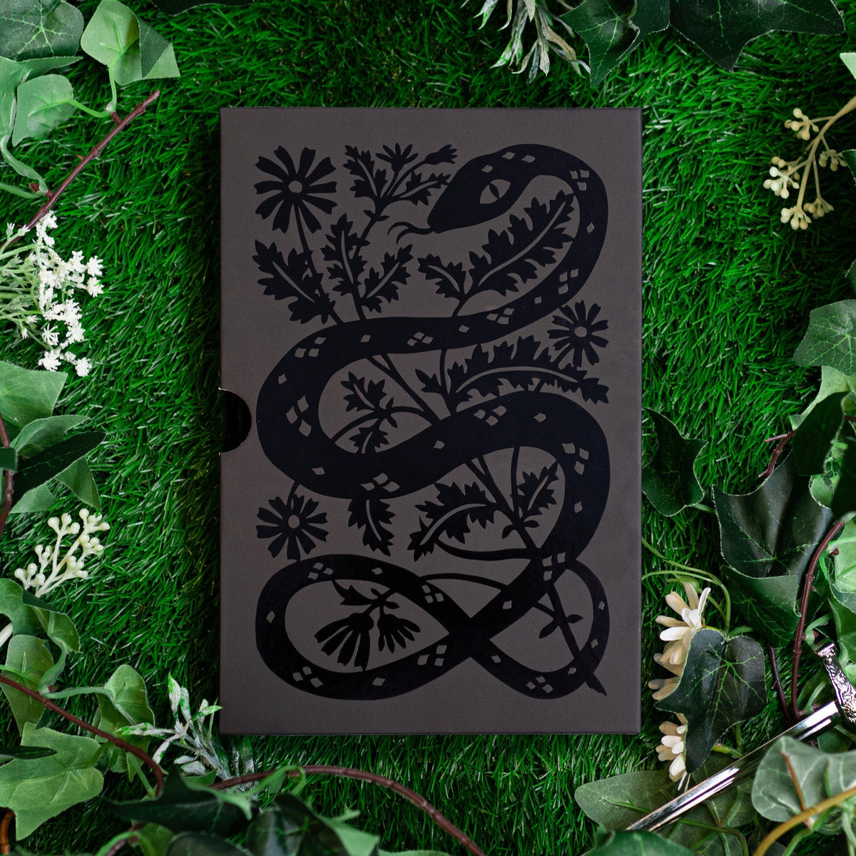 The Queen of Nothing: Collector's Edition